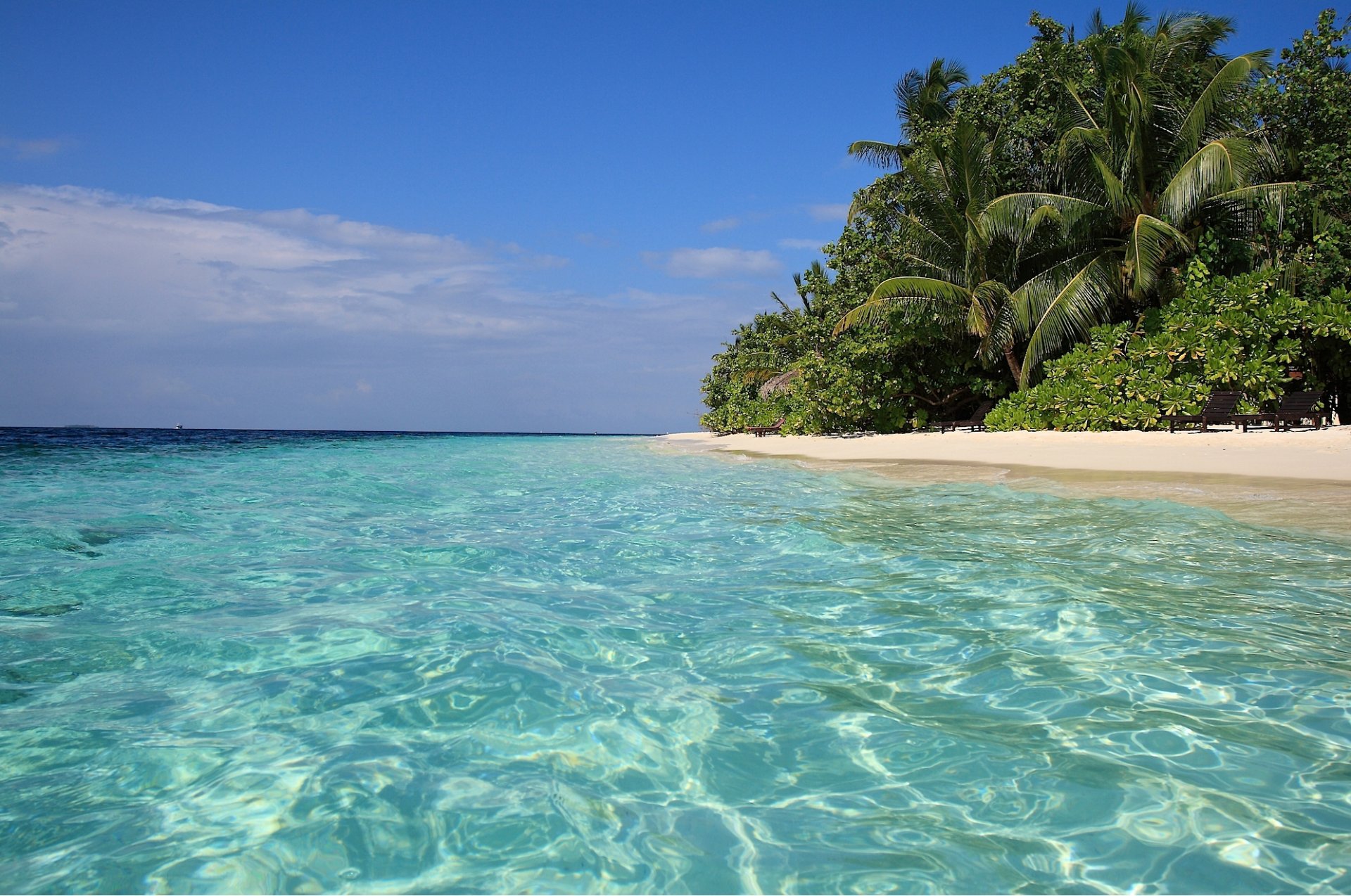 tropici mare acqua blu riva sabbia palme