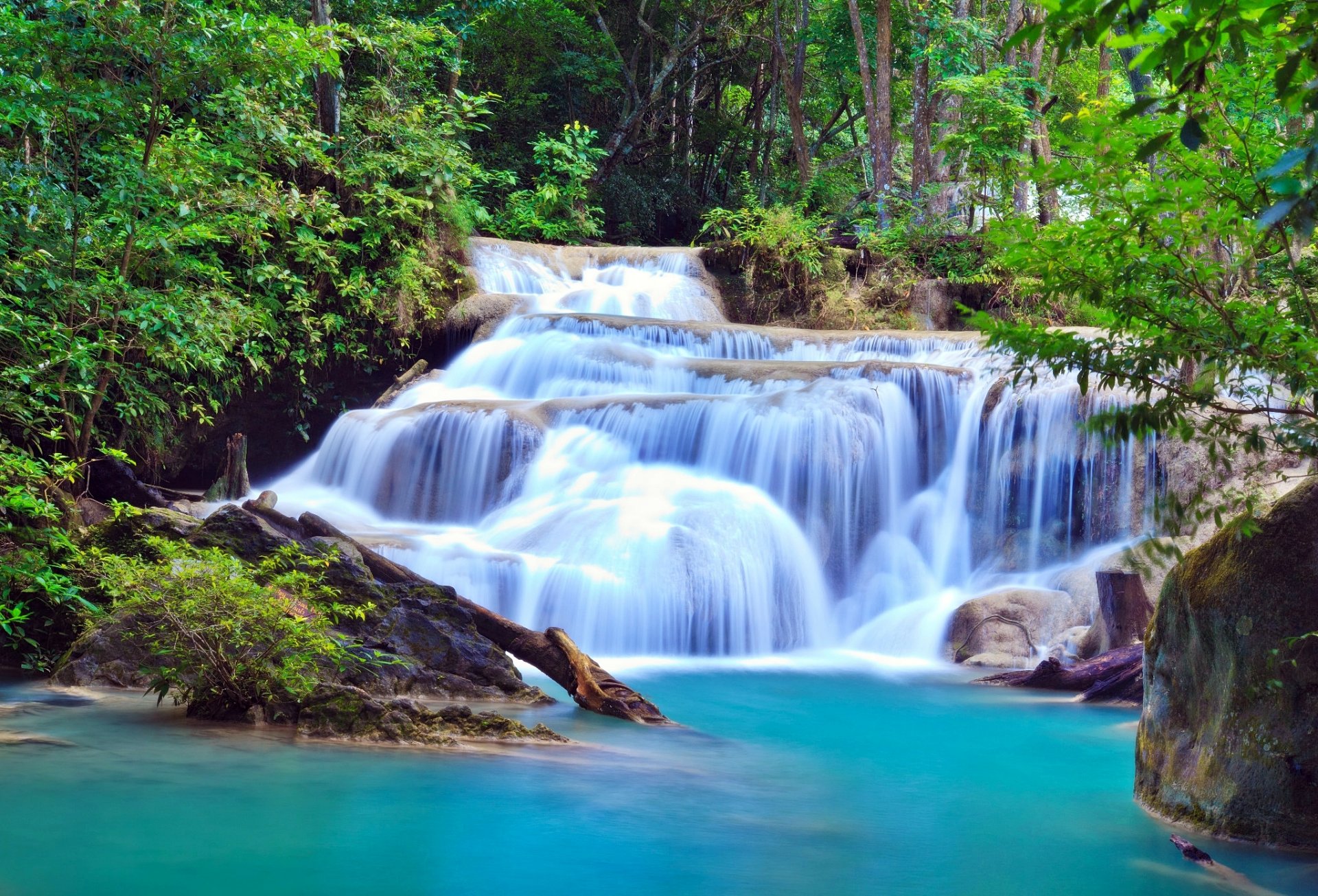 nature cascade arbres verdure