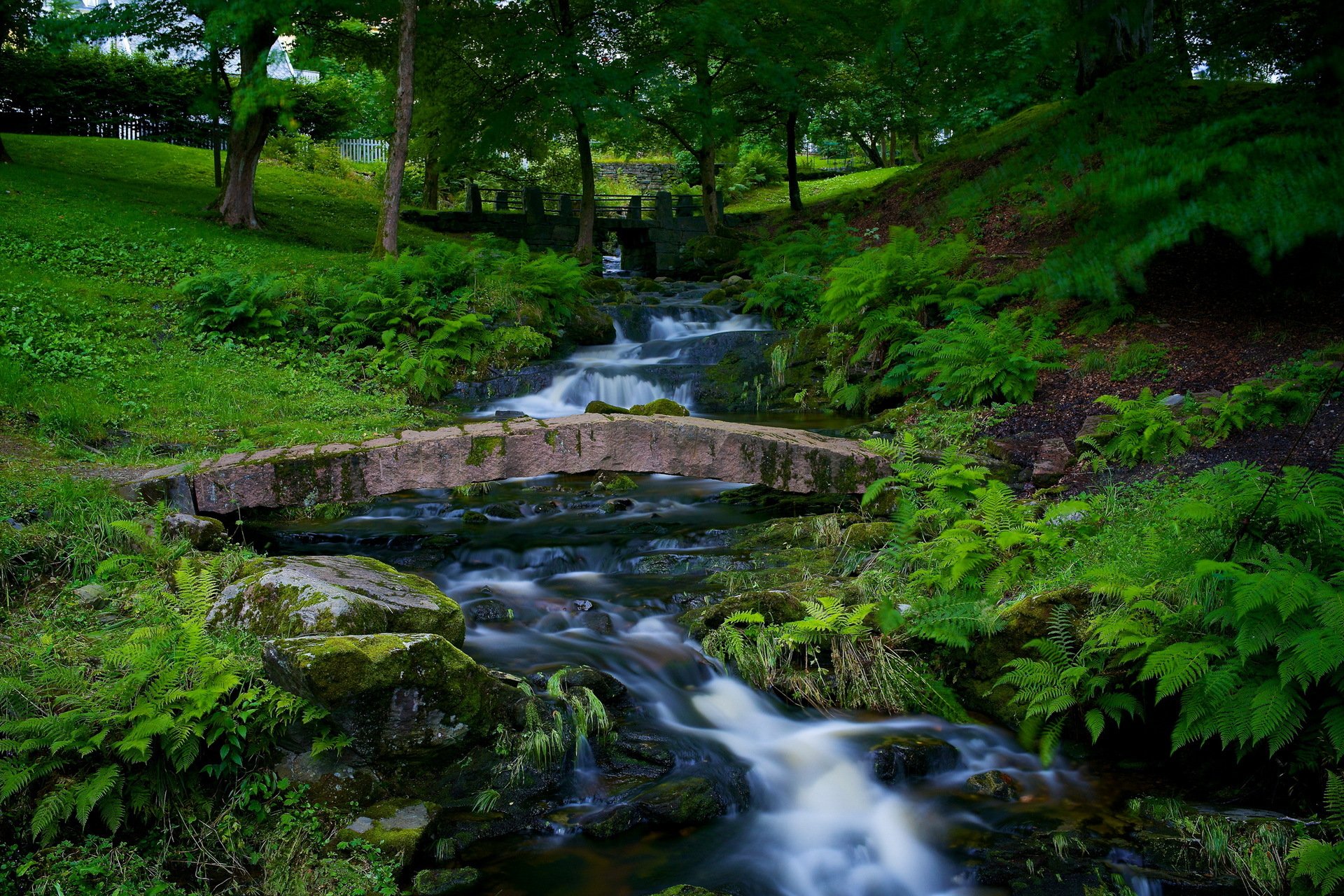 parc rivière nature