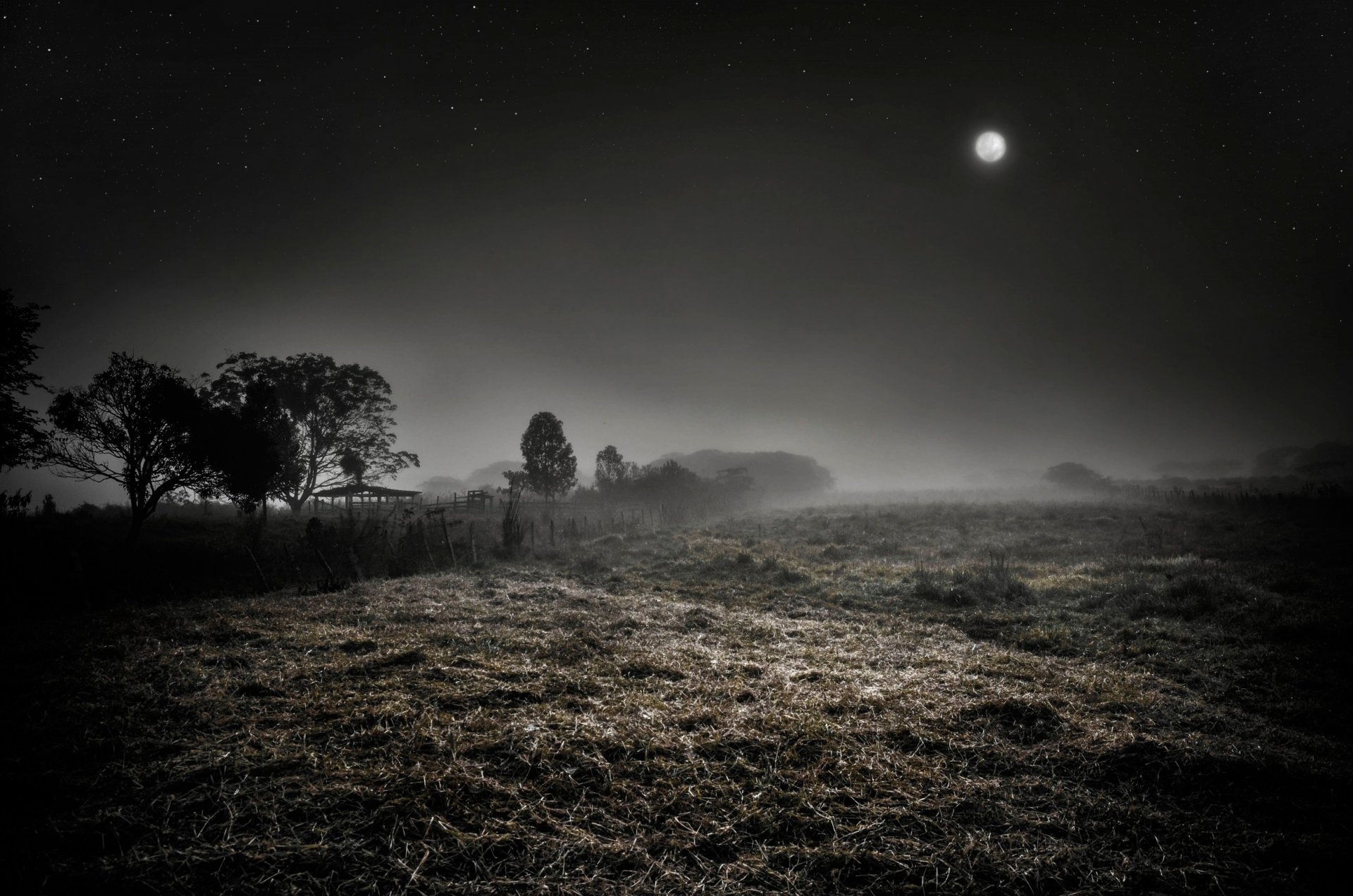 noche niebla luna