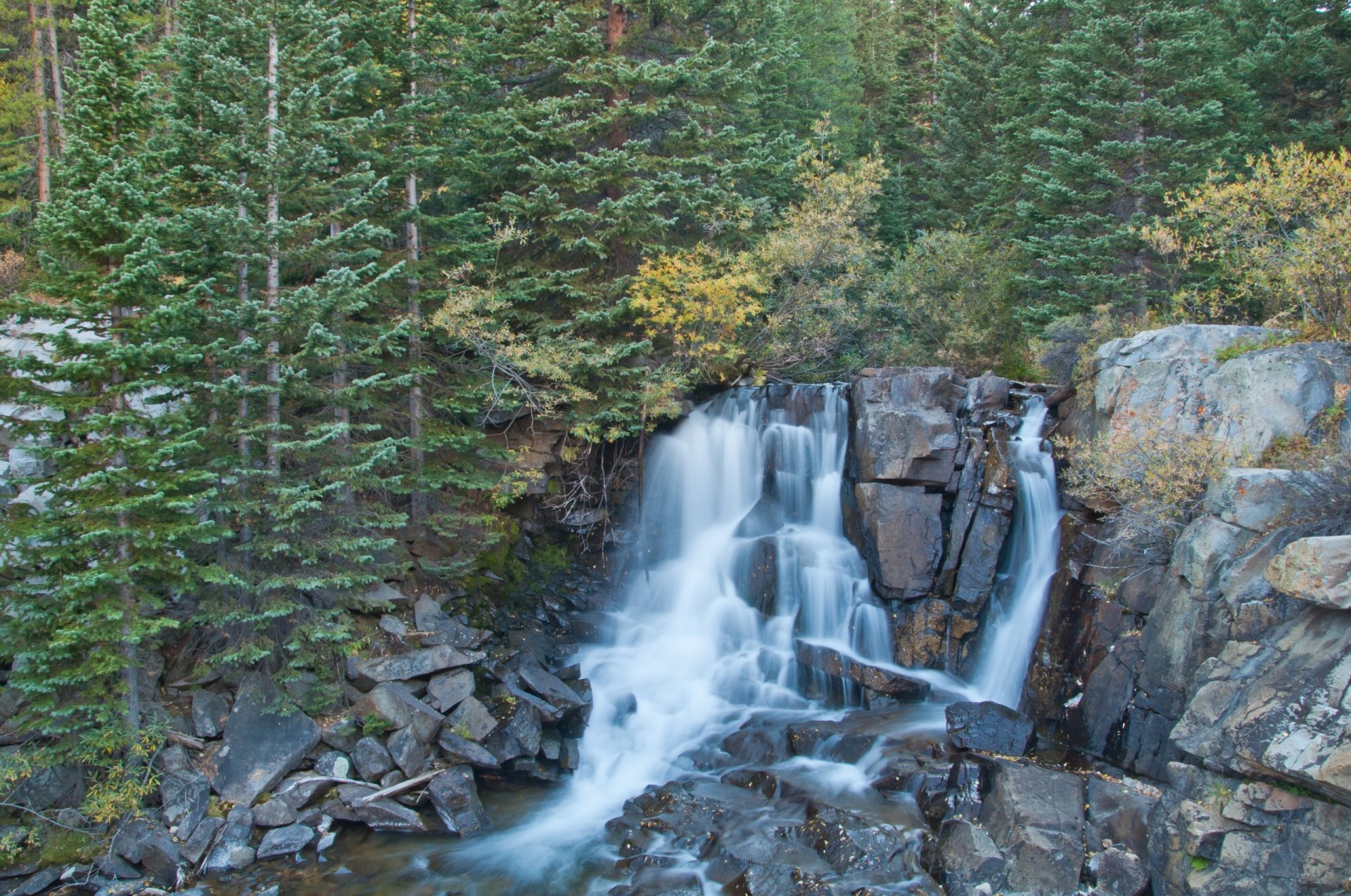 boulder falls waterfall forest tree rock