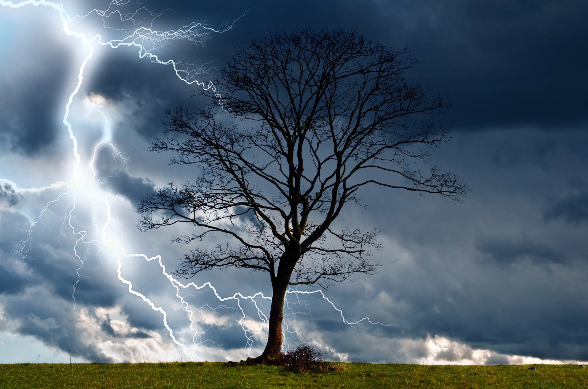 naturaleza tormenta árbol relámpago nubes