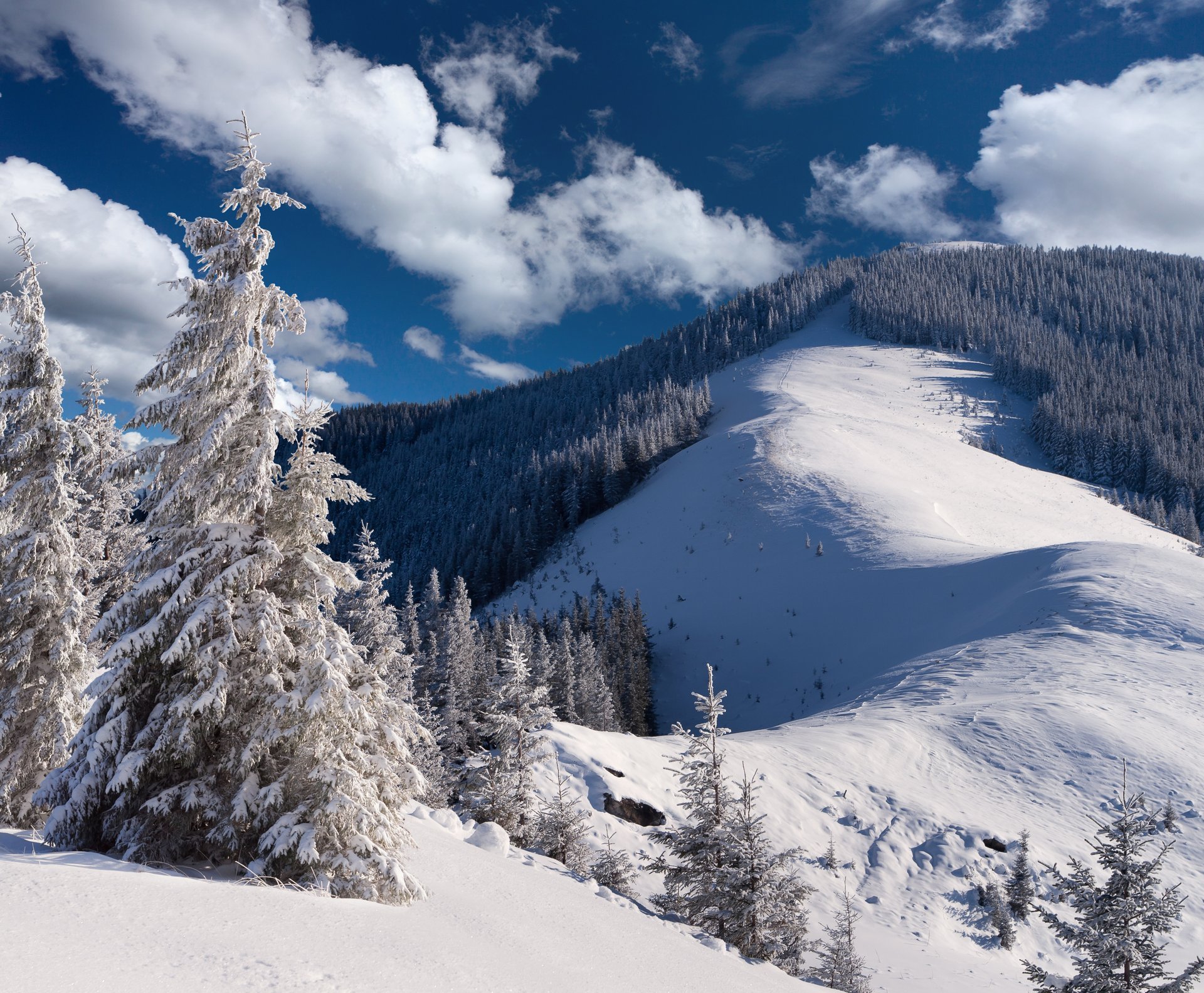 inverno paesaggio neve inverno albero di natale