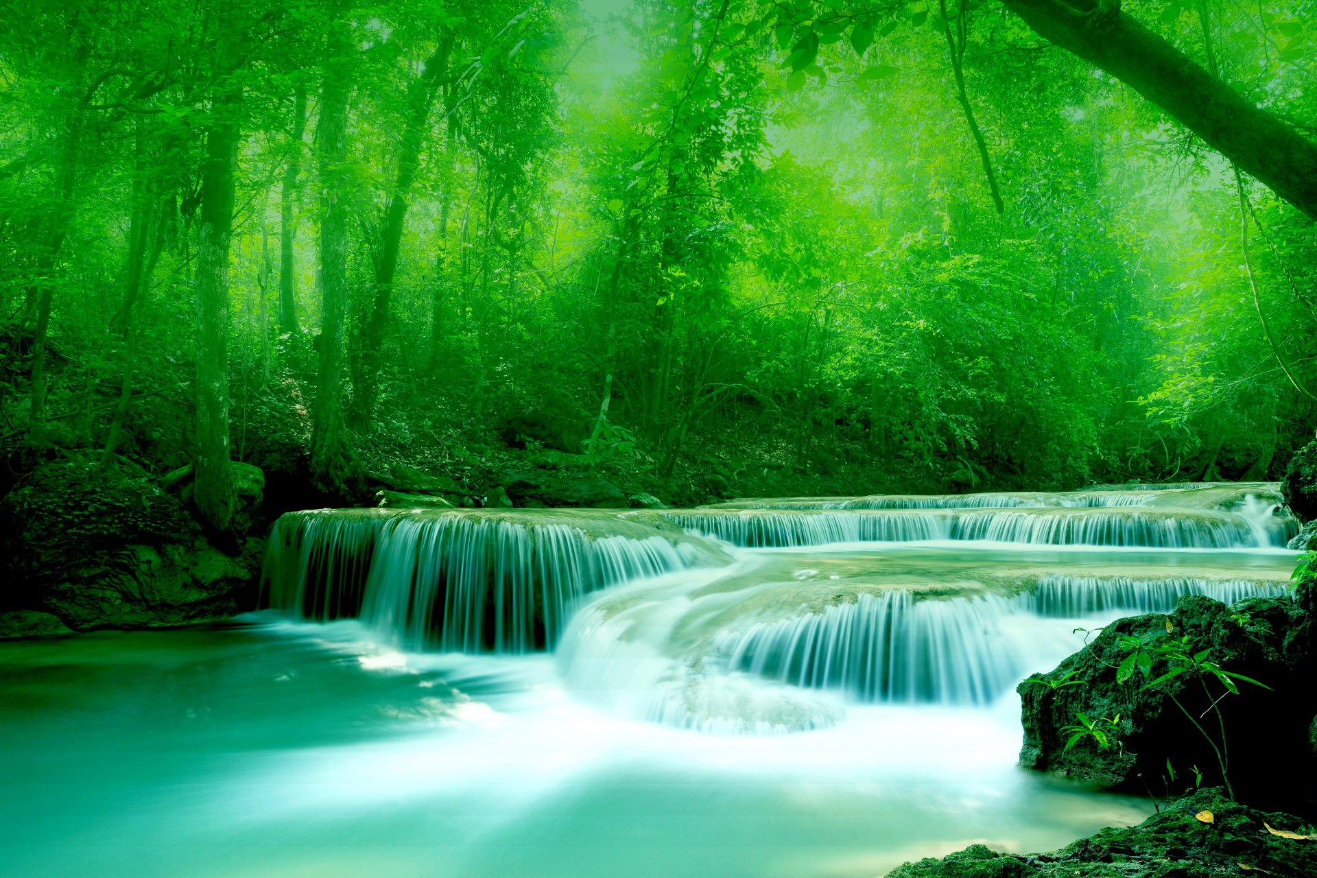 fluss wasser steine bäume laub grün