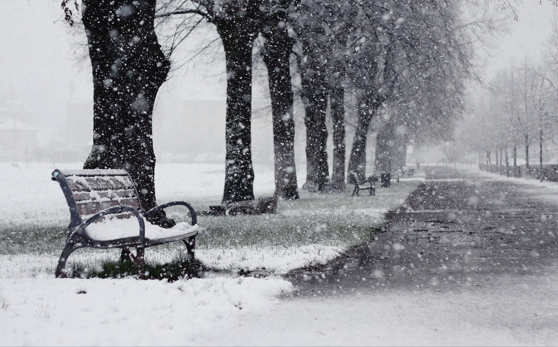 inverno parco vicolo neve negozi alberi