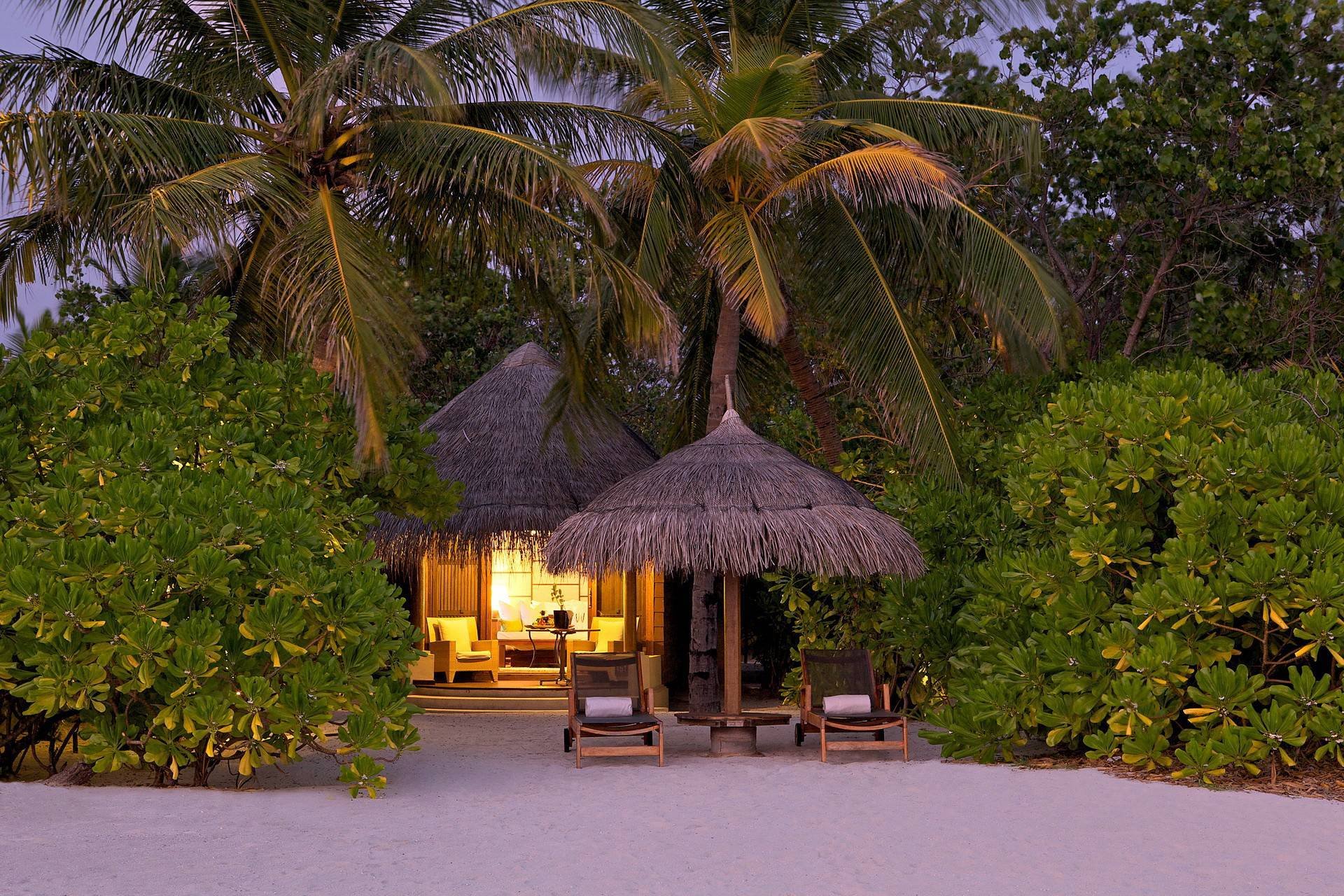 natura spiaggia gazebo lettino ombrello sabbia palme alberi verde