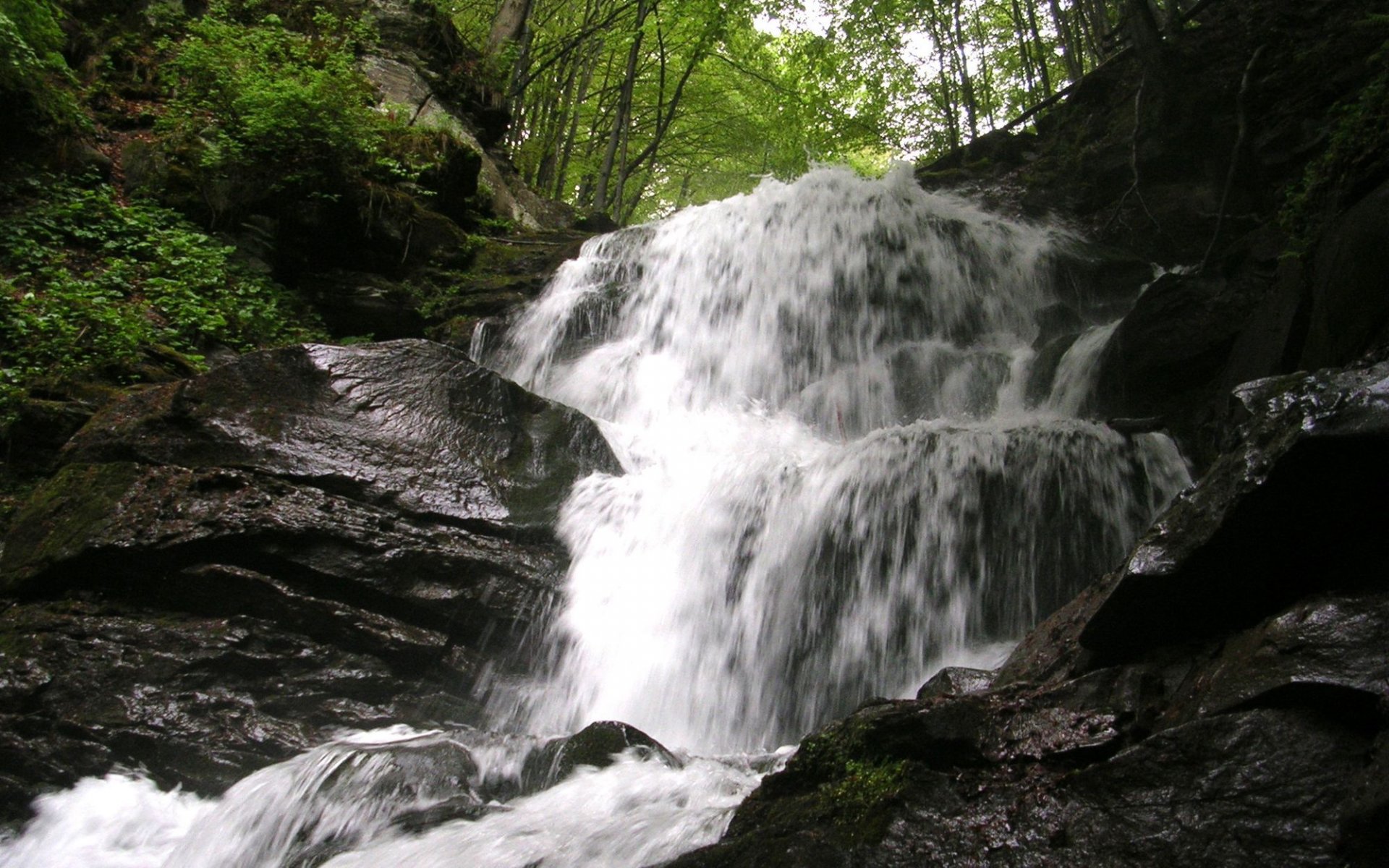 ukraine karpaten bergfluss wasserfall