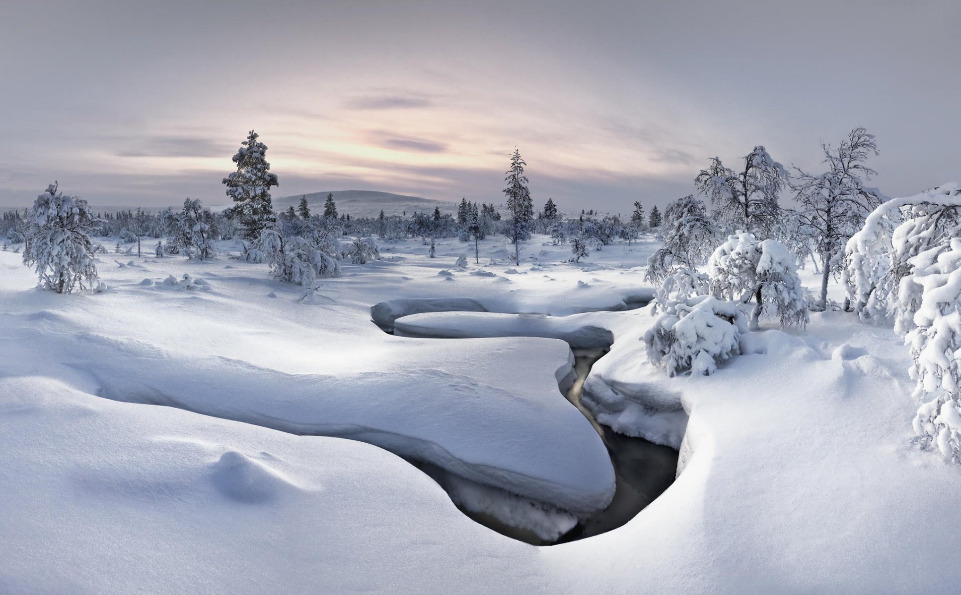 hiver neige forêt nature rivière