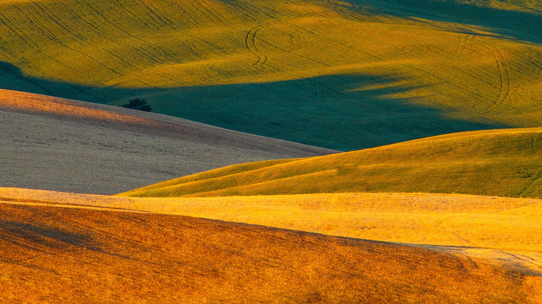 natur italien toskana felder teppiche