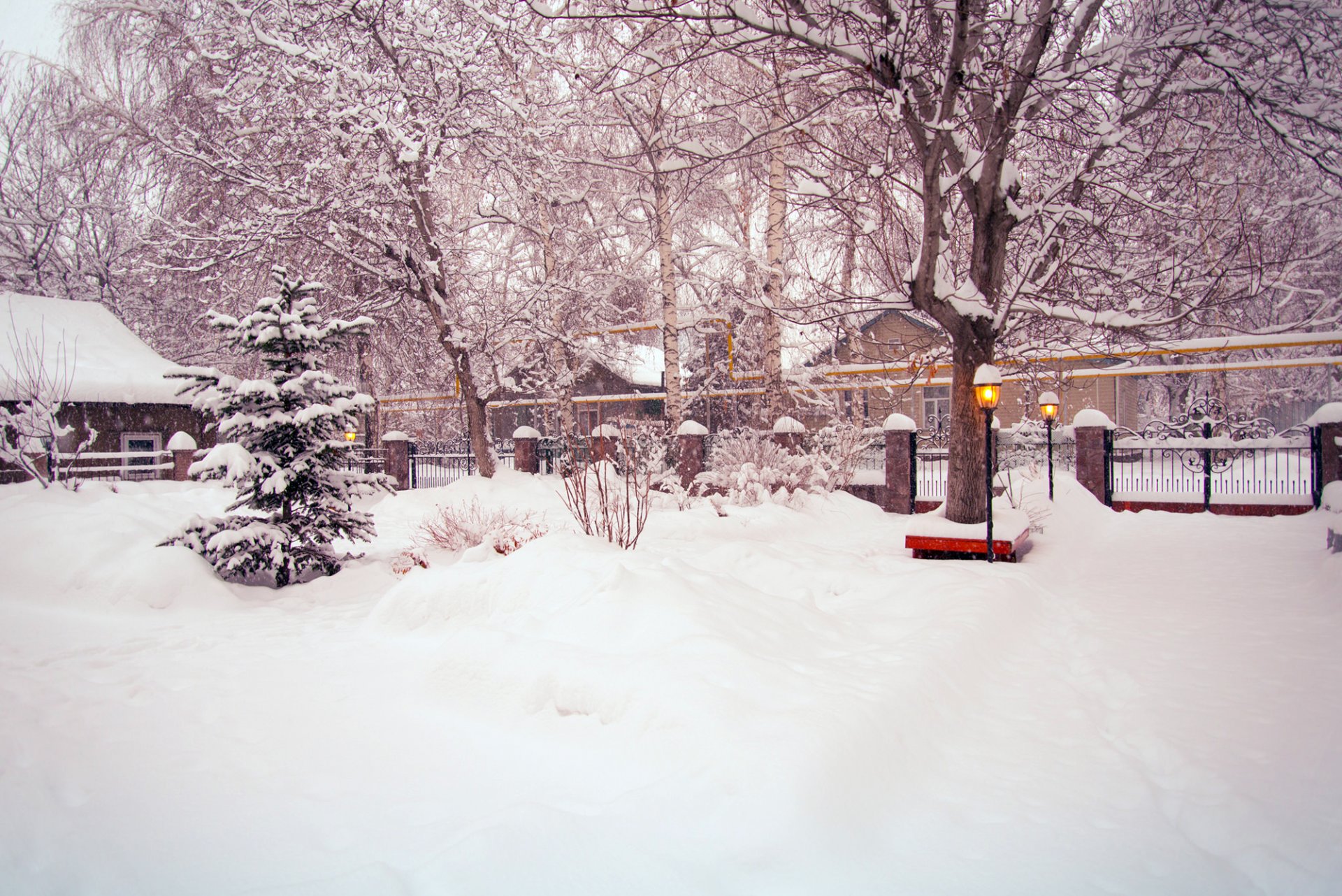 cortile inverno neve alberi albero di natale cespugli lanterne recinzione strada strada