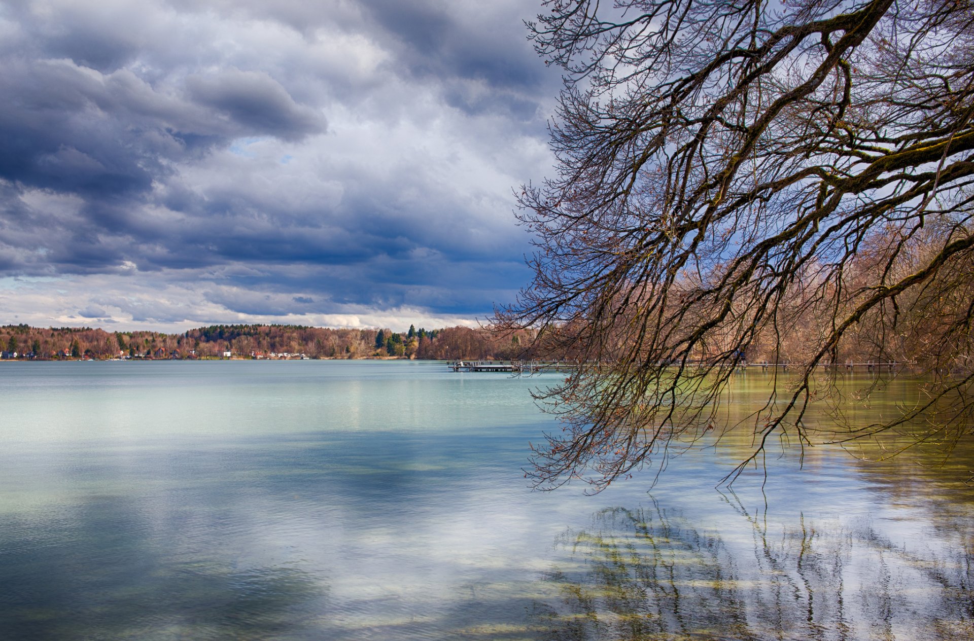 primavera lago nubes nubes árboles ramas