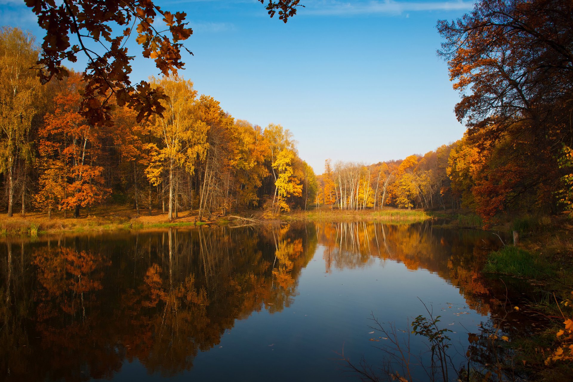 natura jesień drzewa staw jezioro niebo odbicia kolory