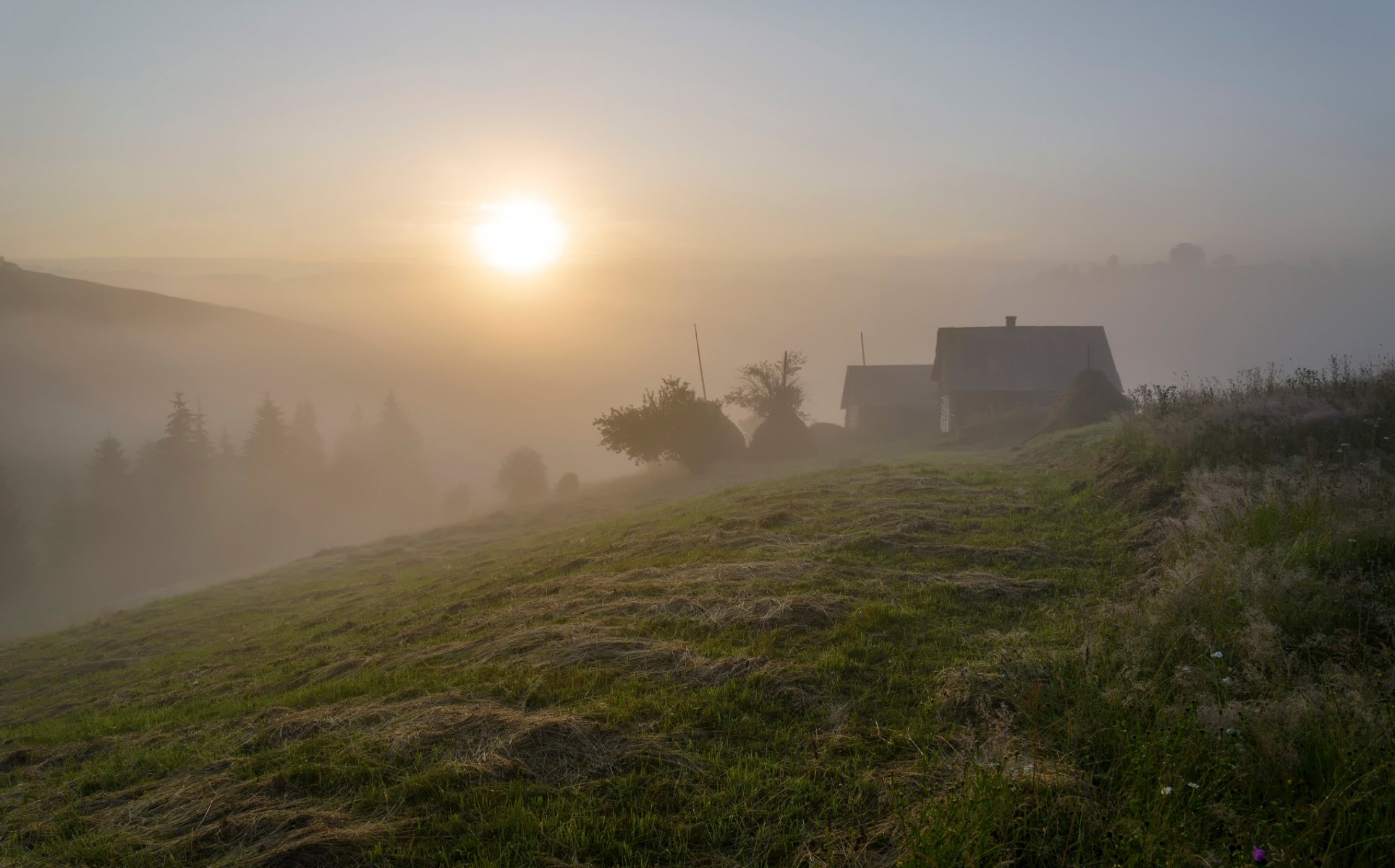 karpaty lato poranek mgła