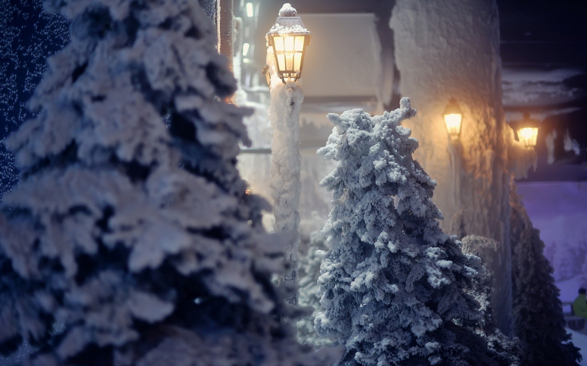 nature hiver neige lanterne arbres