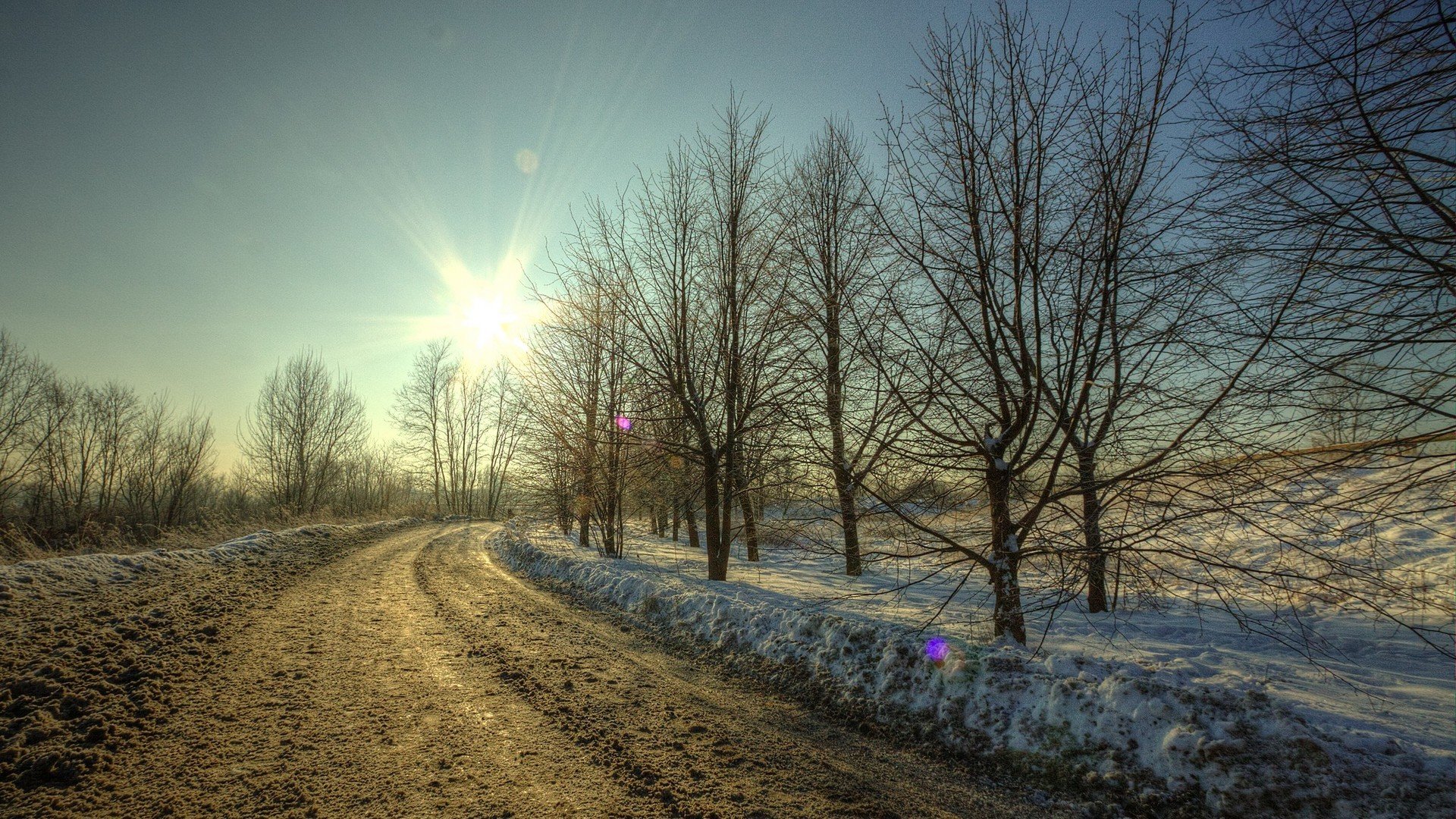 invierno nieve carretera barro árboles sol