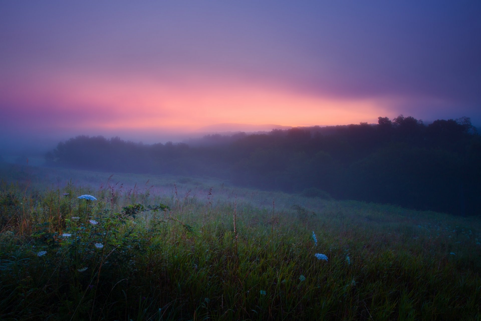 été matin brouillard rosée aube