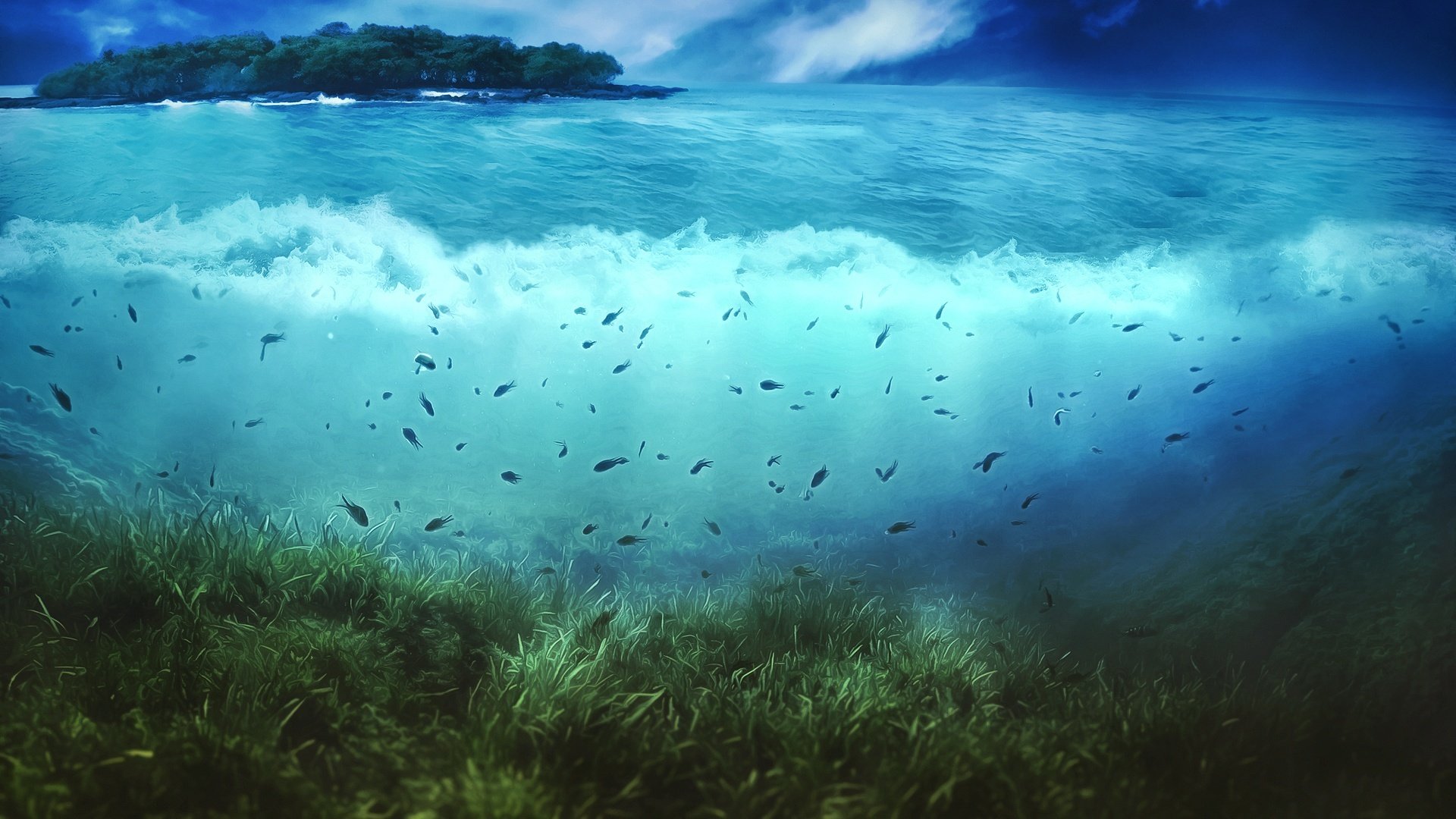 isola alberi acqua onde alghe pesci