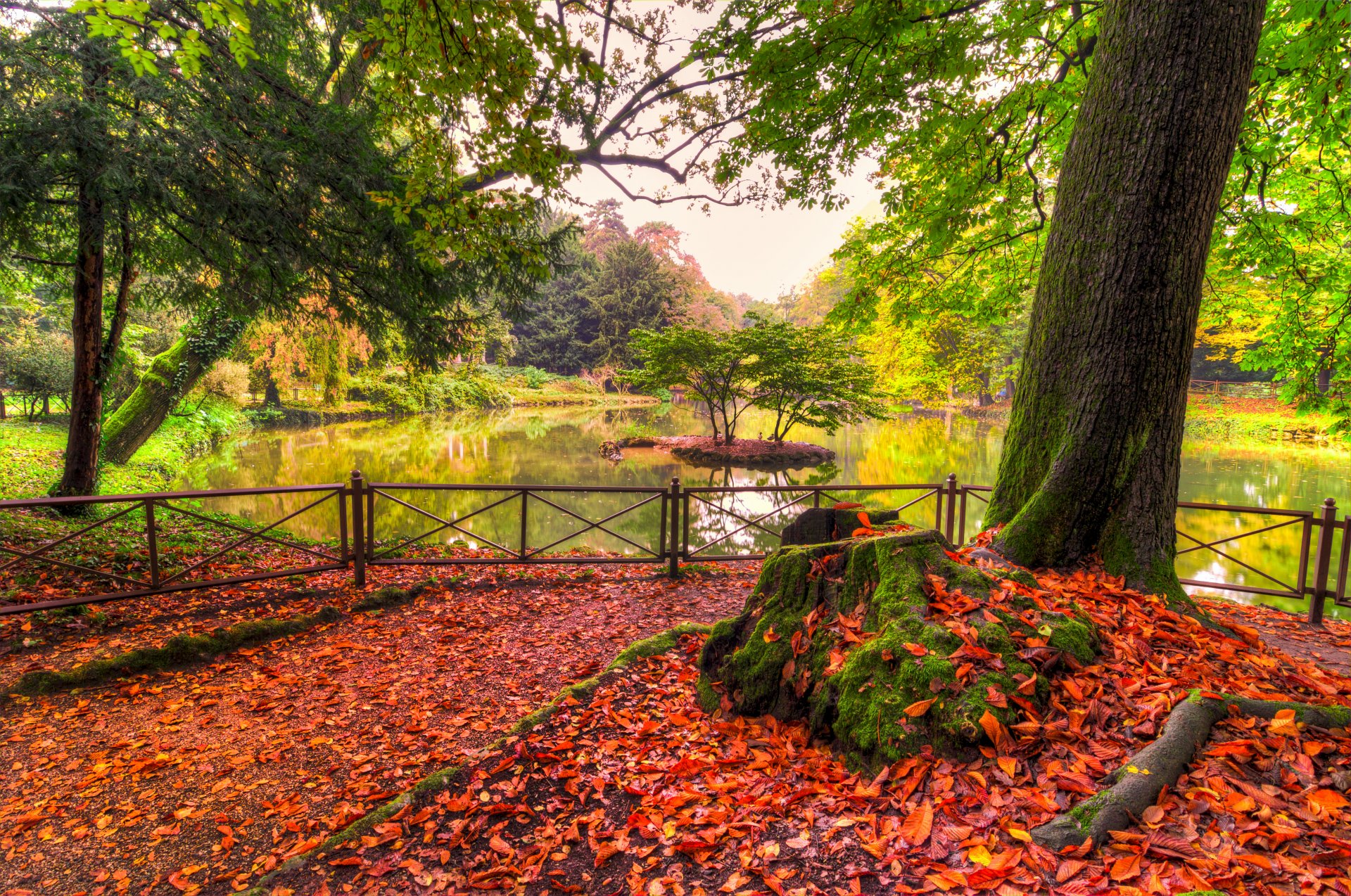 natura rzeka woda las park drzewa liście kolorowe jesień upadek kolory spacer góry niebo