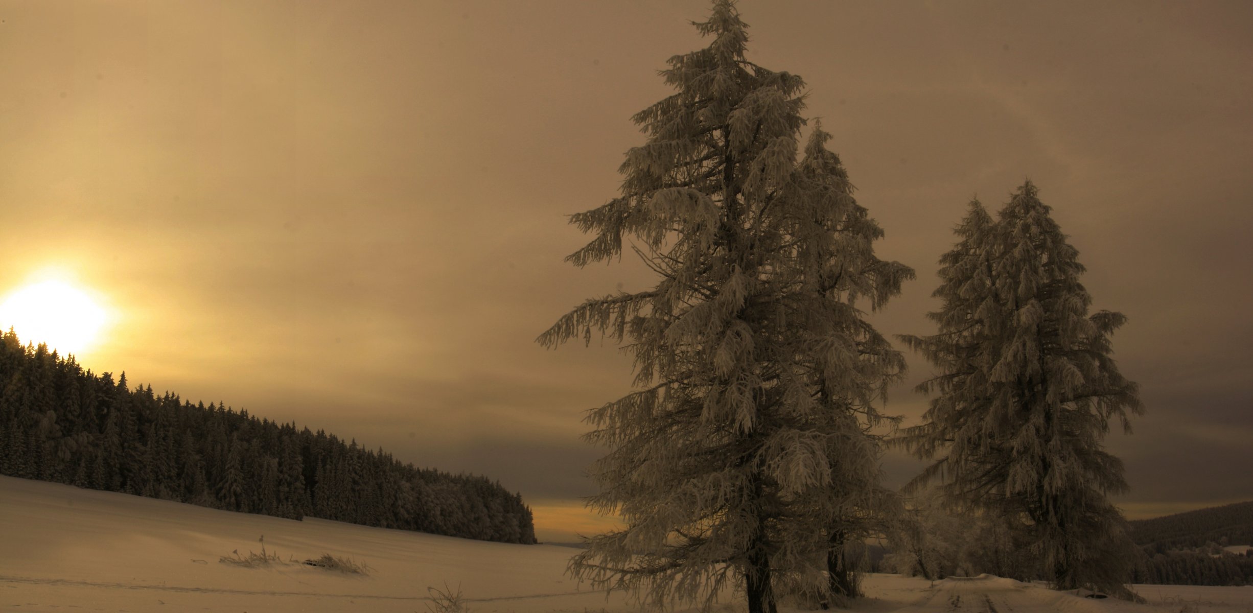 zimowa szumawa wieczór góry las śnieg czechy czechy narodni park šumava okolí borových lad