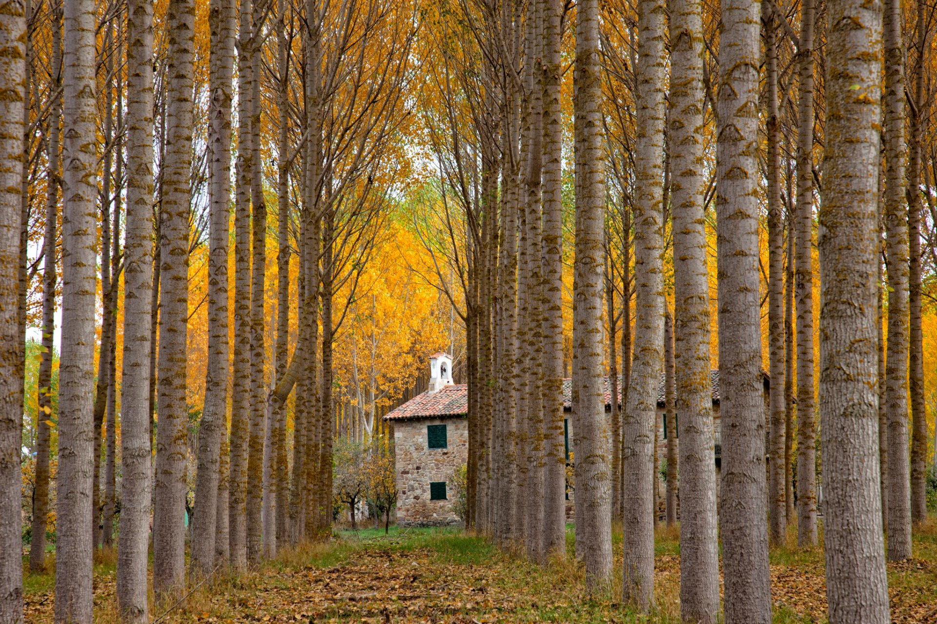 spanien gasse herbst