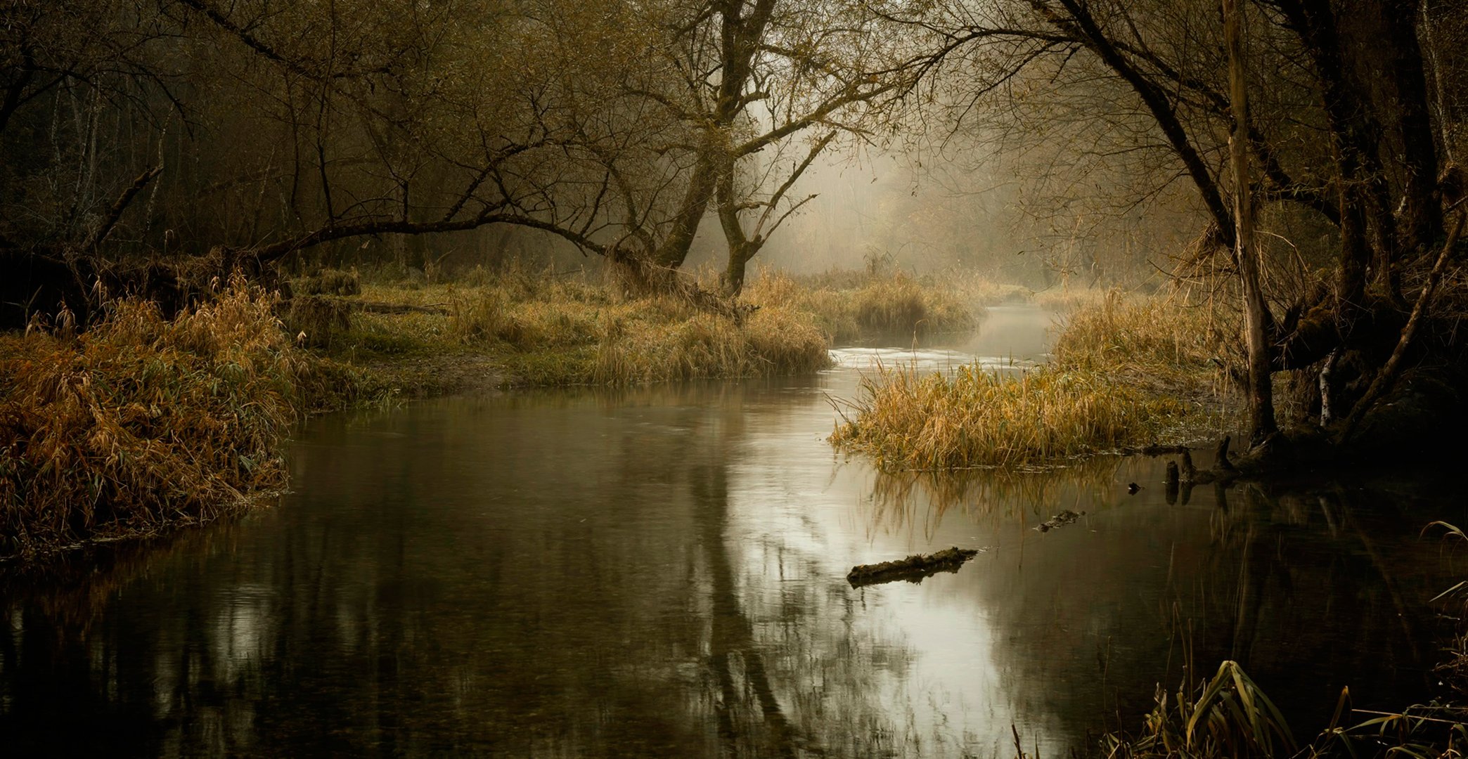 herbst november fluss