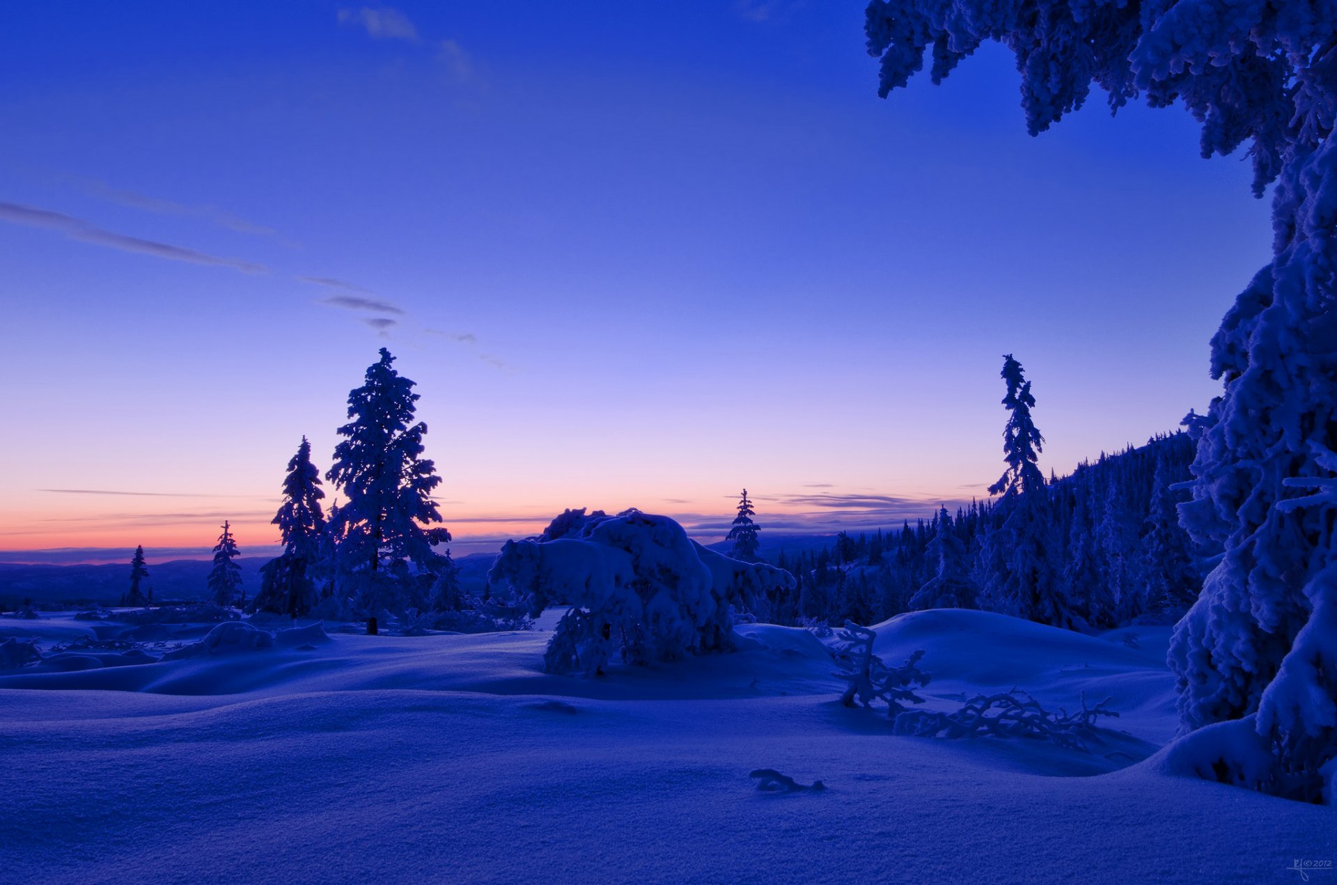 norwegen winter schnee wald bäume abend sonnenuntergang himmel wolken