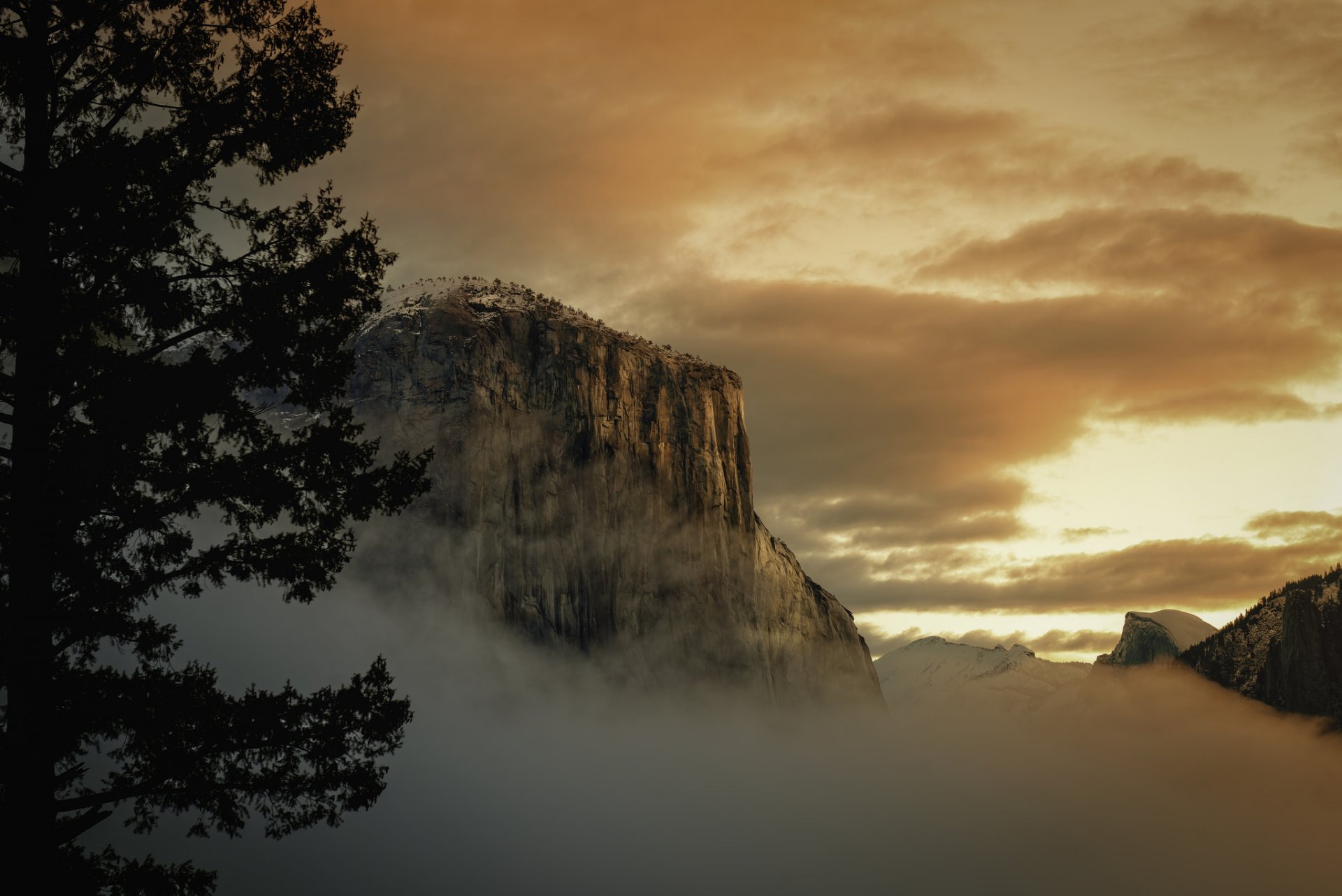 united states yosemite national park rock el capitan morning fog