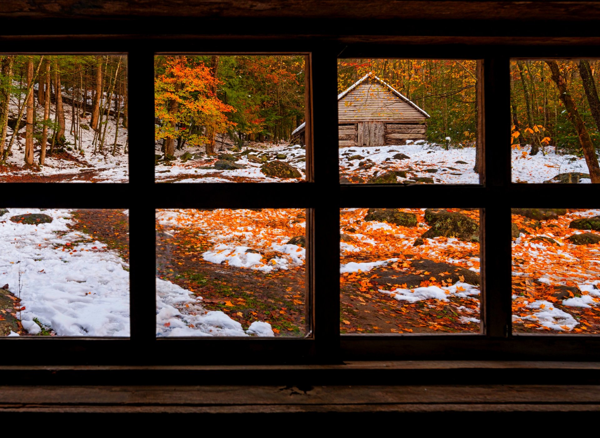 nature forest window winter snow park trees leaves colorful road autumn fall colors walk grass house winter