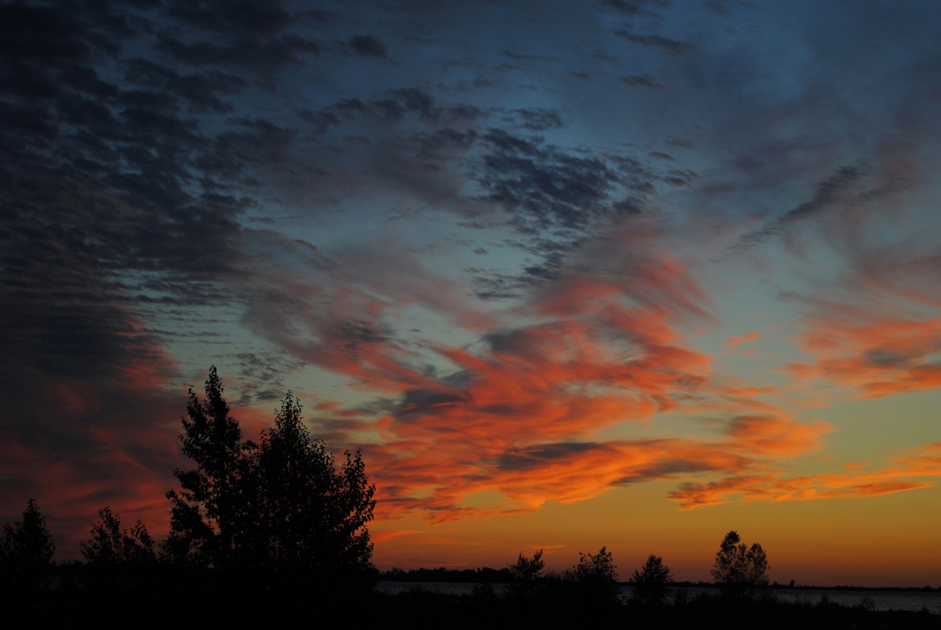 cielo nuvole tramonto orizzonte alberi silhouette