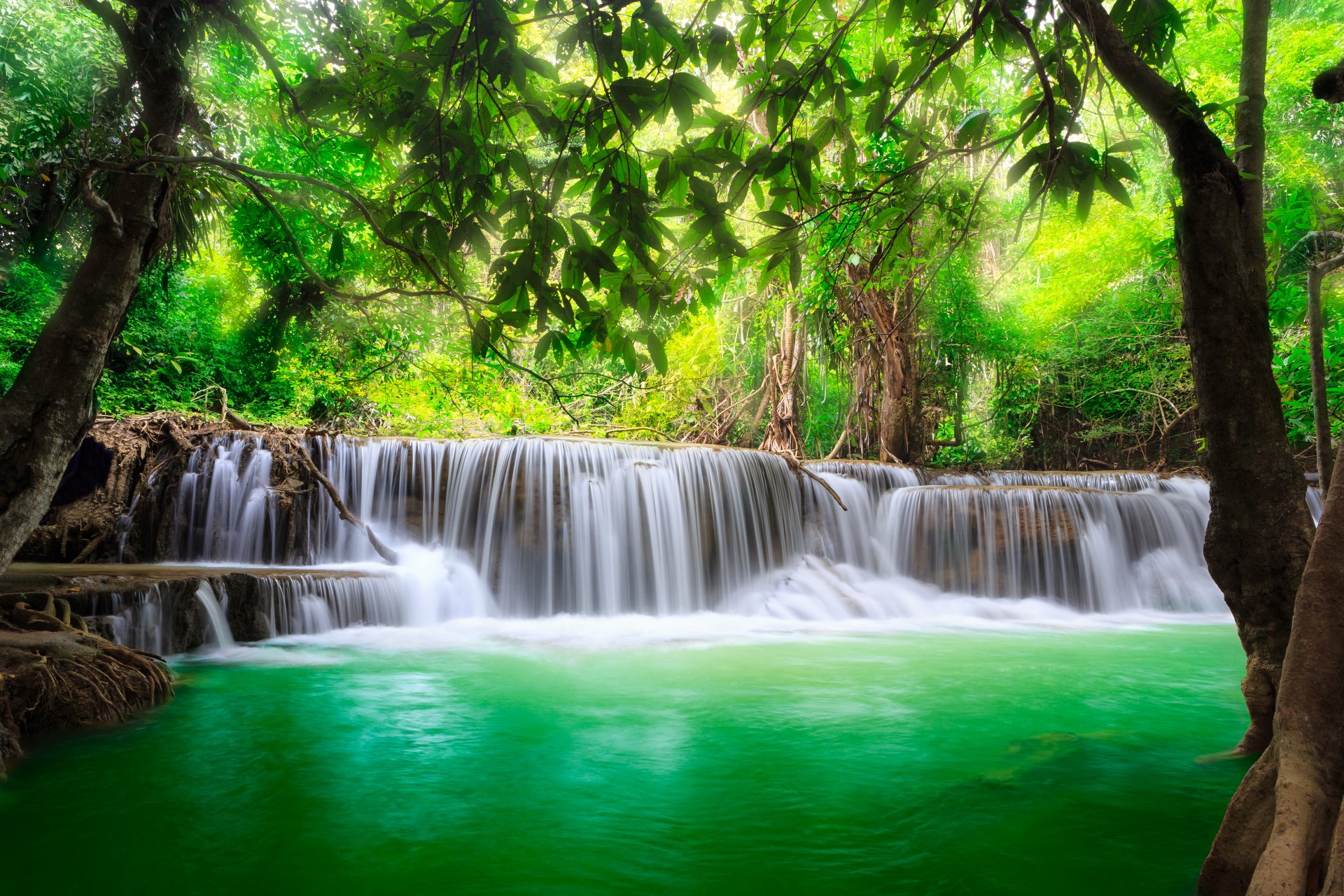 waterfall river flow emerald water forest