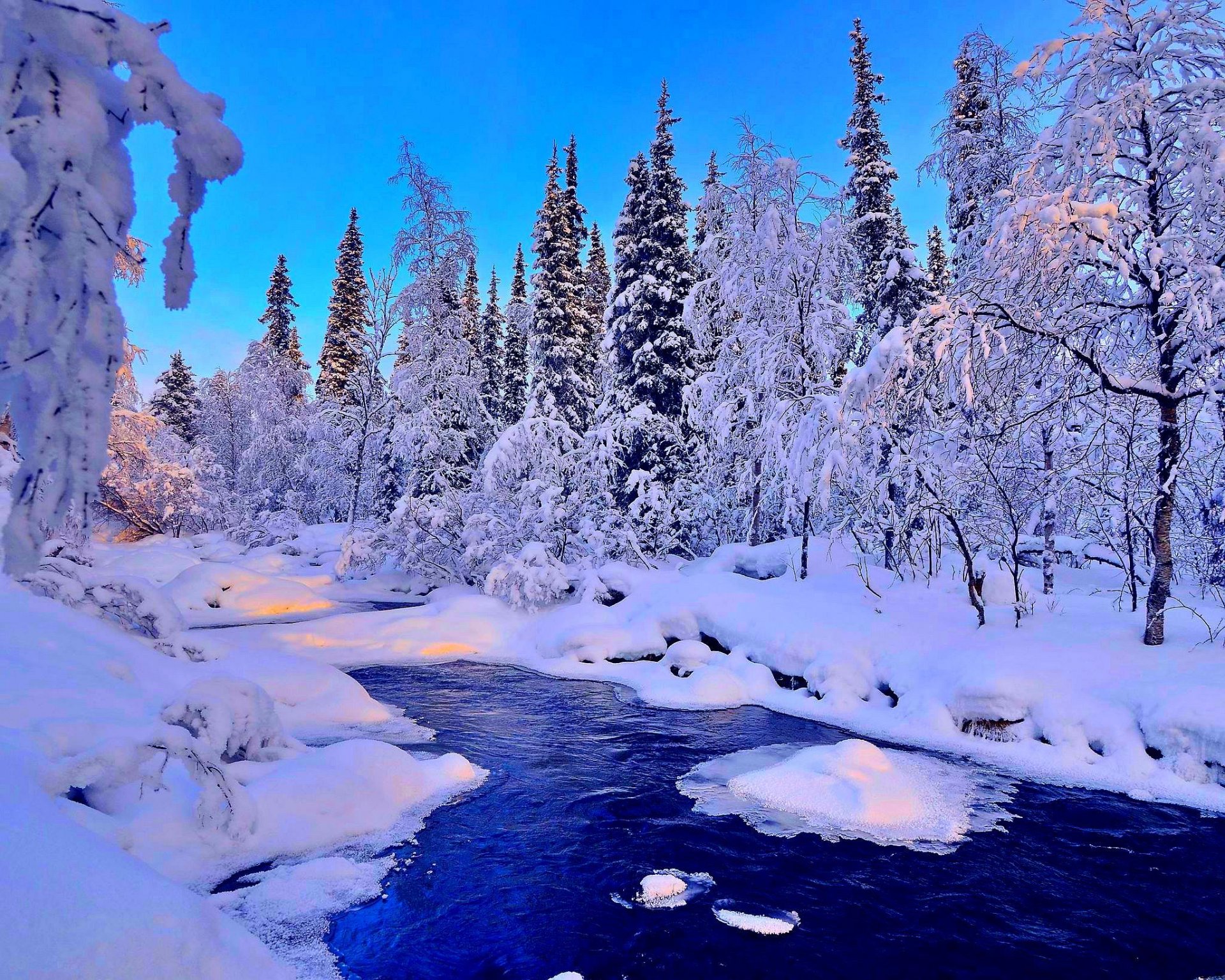 winter fluss schnee landschaft wald bäume fichte