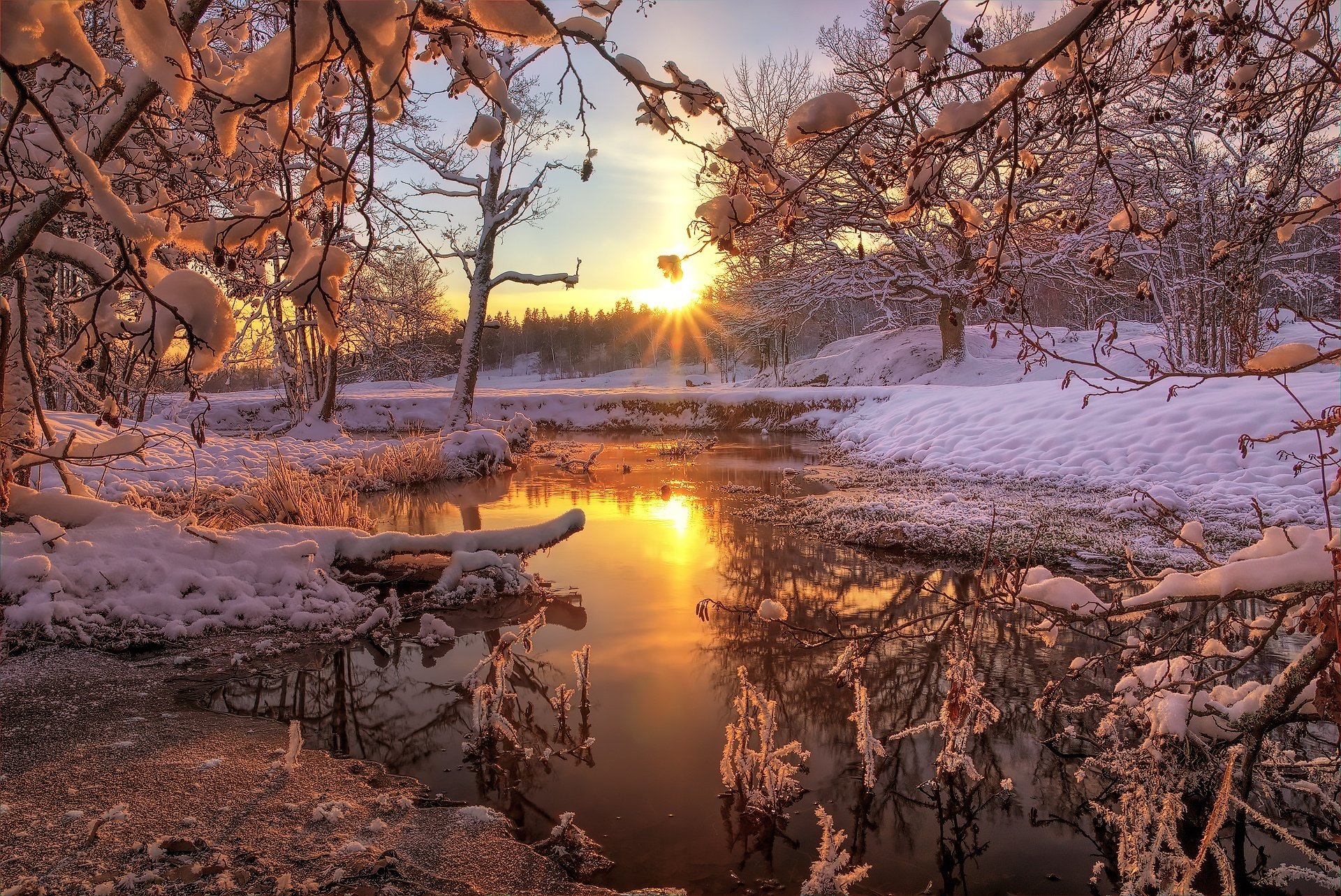 inverno neve foresta natura fiume alba