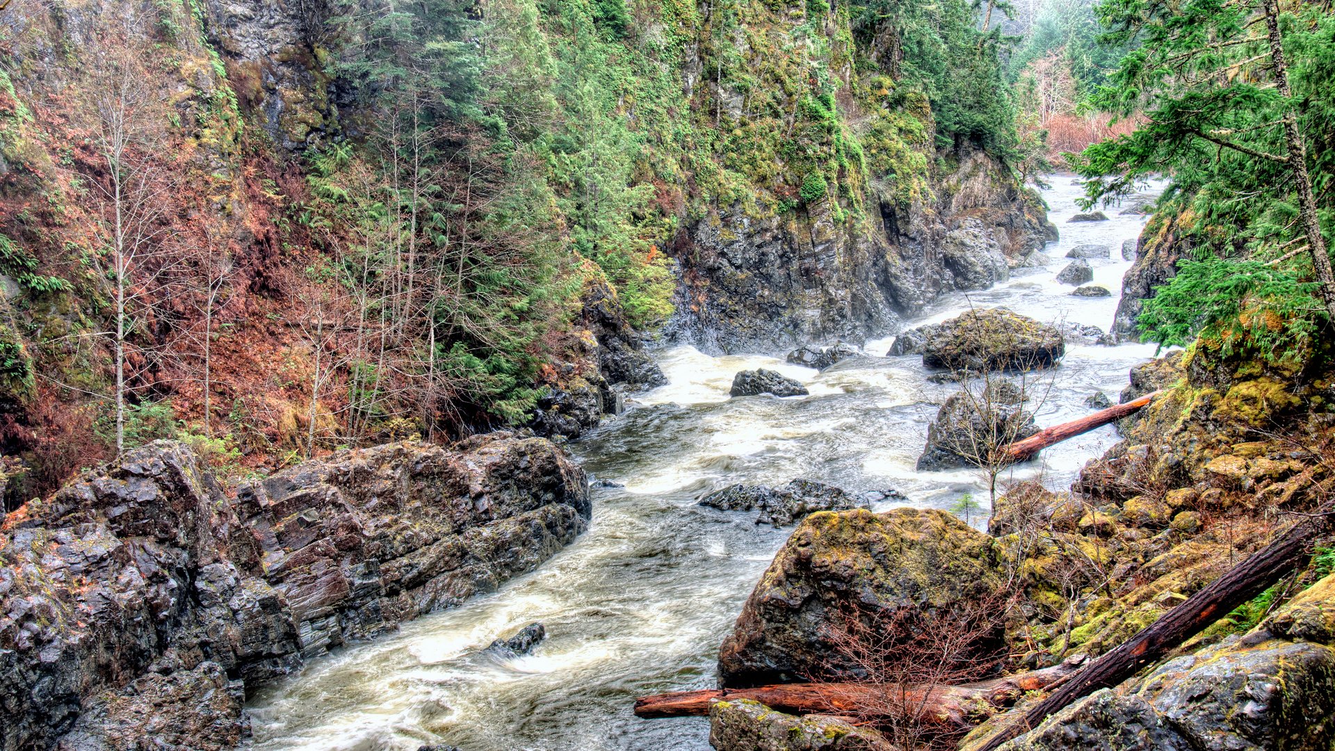 bäume balken fluss stromschnellen felsen steine