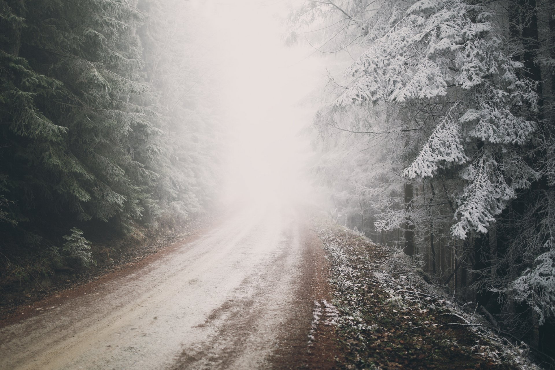 nature autriche forêt route hiver gel givre brouillard