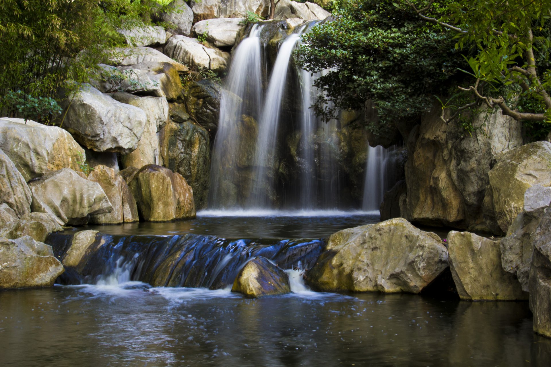 arbres cascade pierres eau