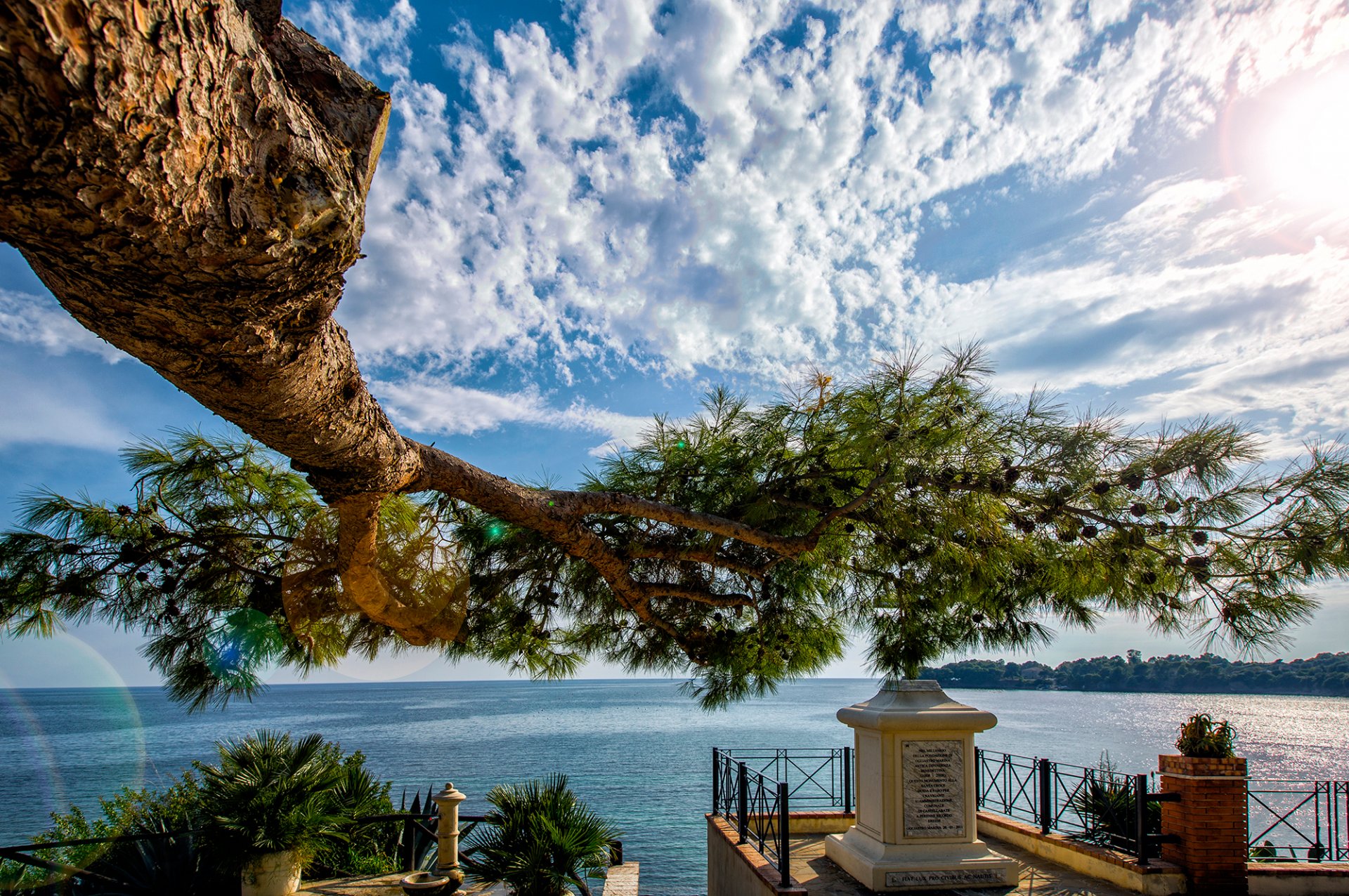 ea tree branch sky cloud