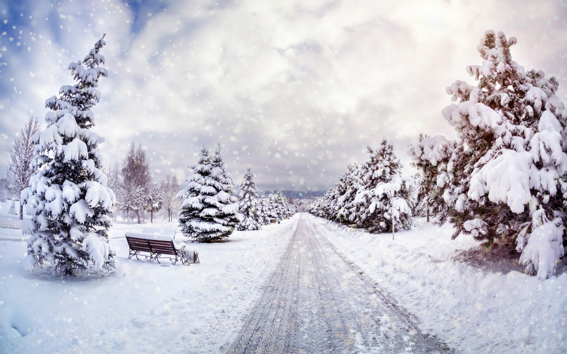 natur landschaft bäume schnee himmel winter