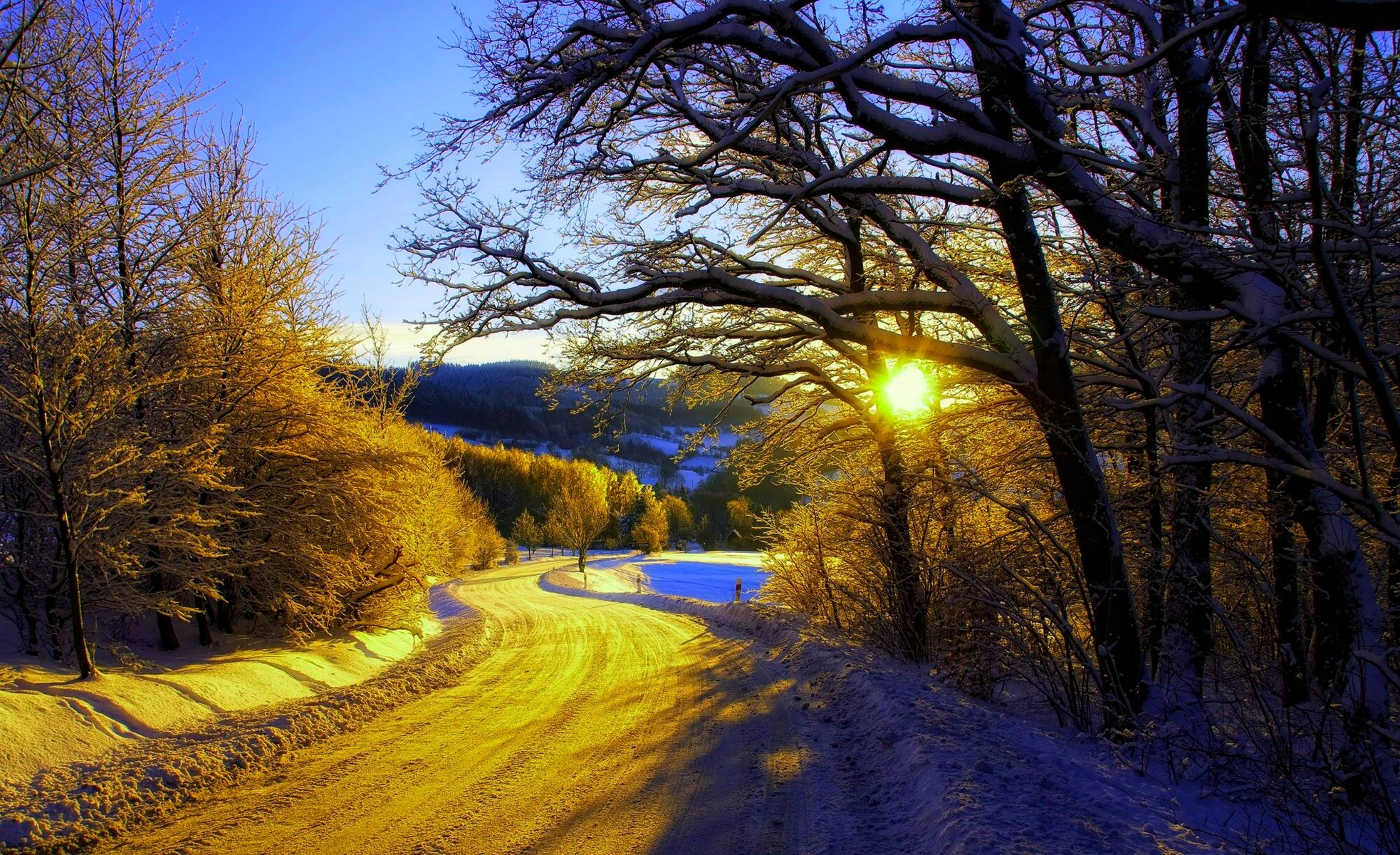 nature hiver neige route arbres forêt ciel paysage hiver blanc sensa nice coucher de soleil