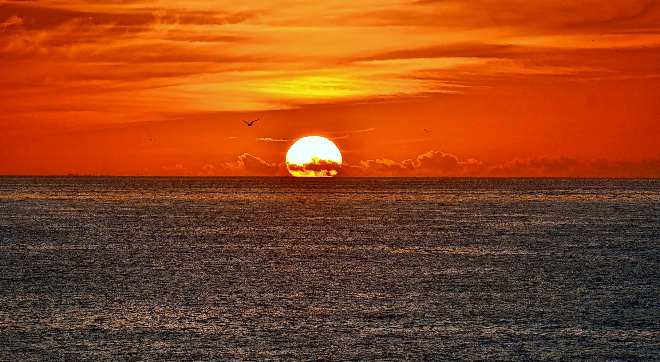 himmel wolken sonne sonnenuntergang meer vogel