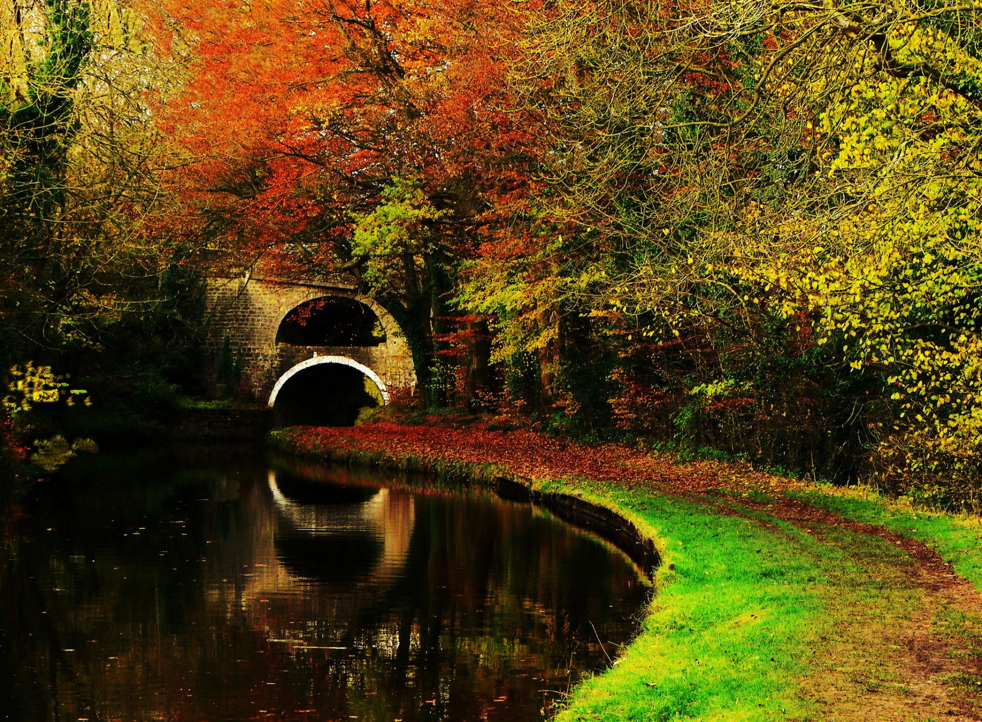 nature paysage forêt automne arbres feuilles lac