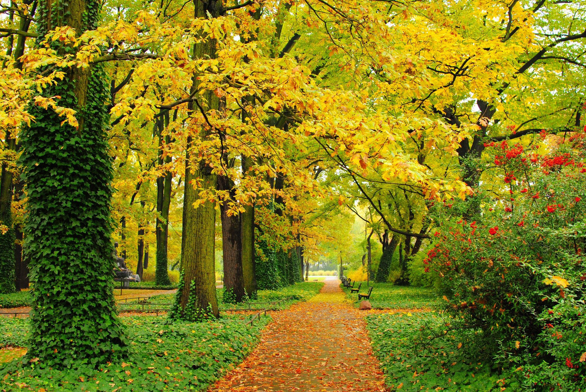 herbst park bäume blätter gelb grün gehwege bänke gasse laub