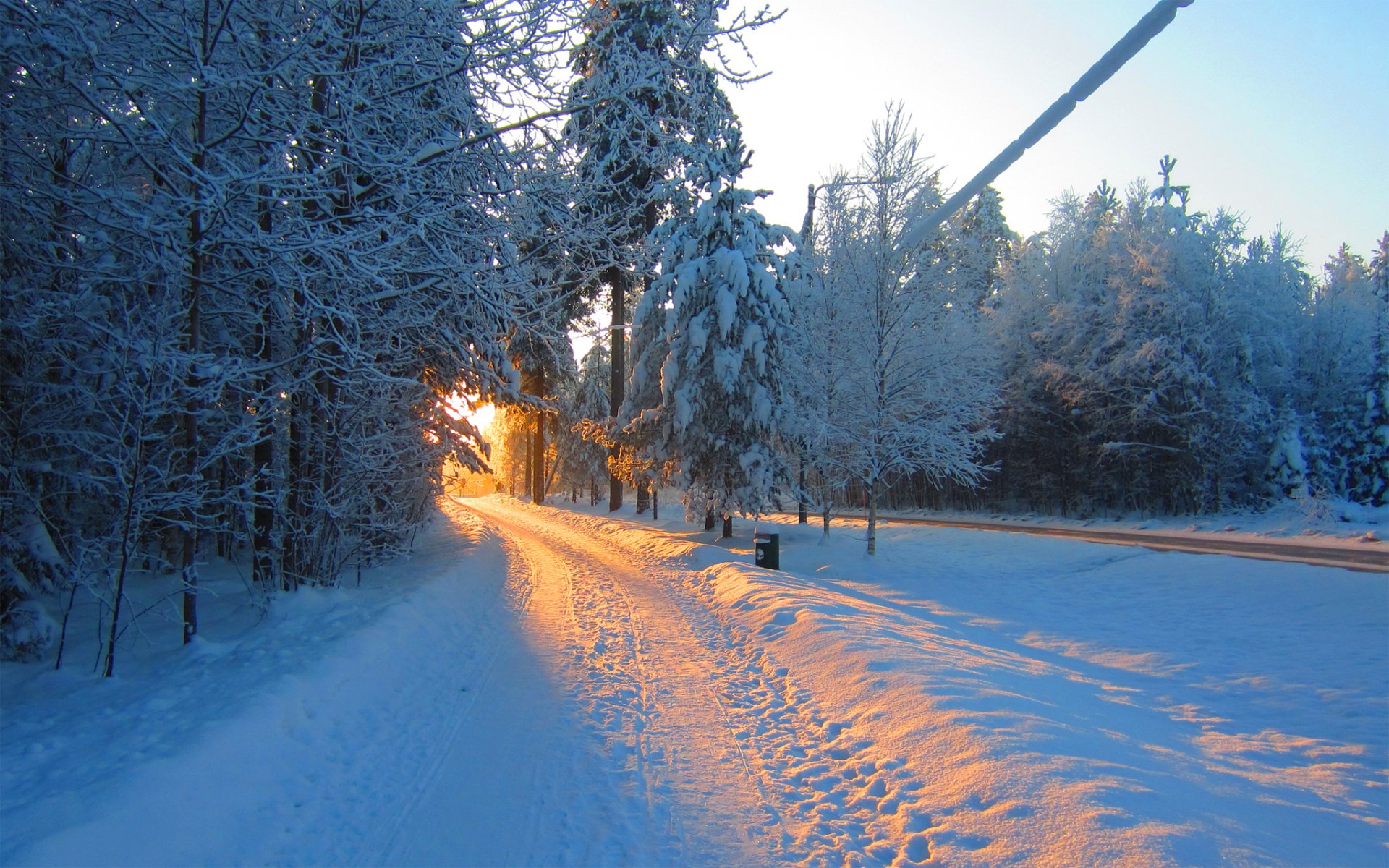 forest park light road winter snow sunset