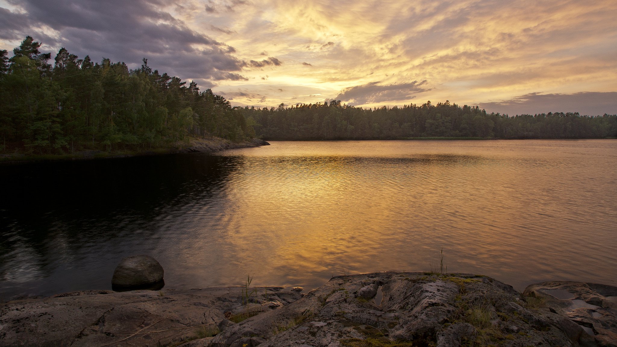 wald see sonnenuntergang