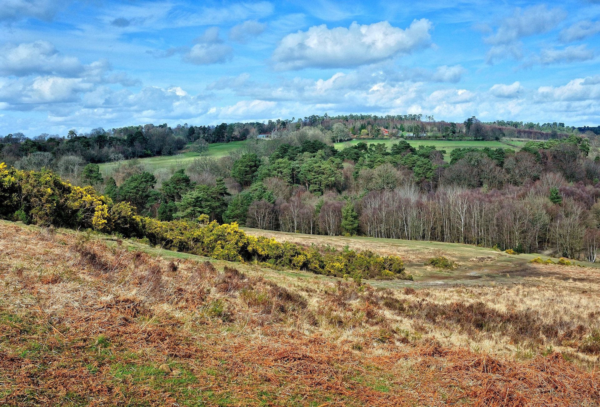 east sussex wieś krajobraz