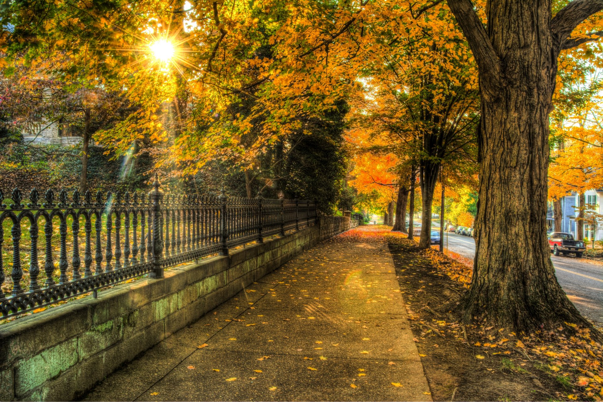 naturaleza arquitectura casa otoño hojas árboles calle ciudad