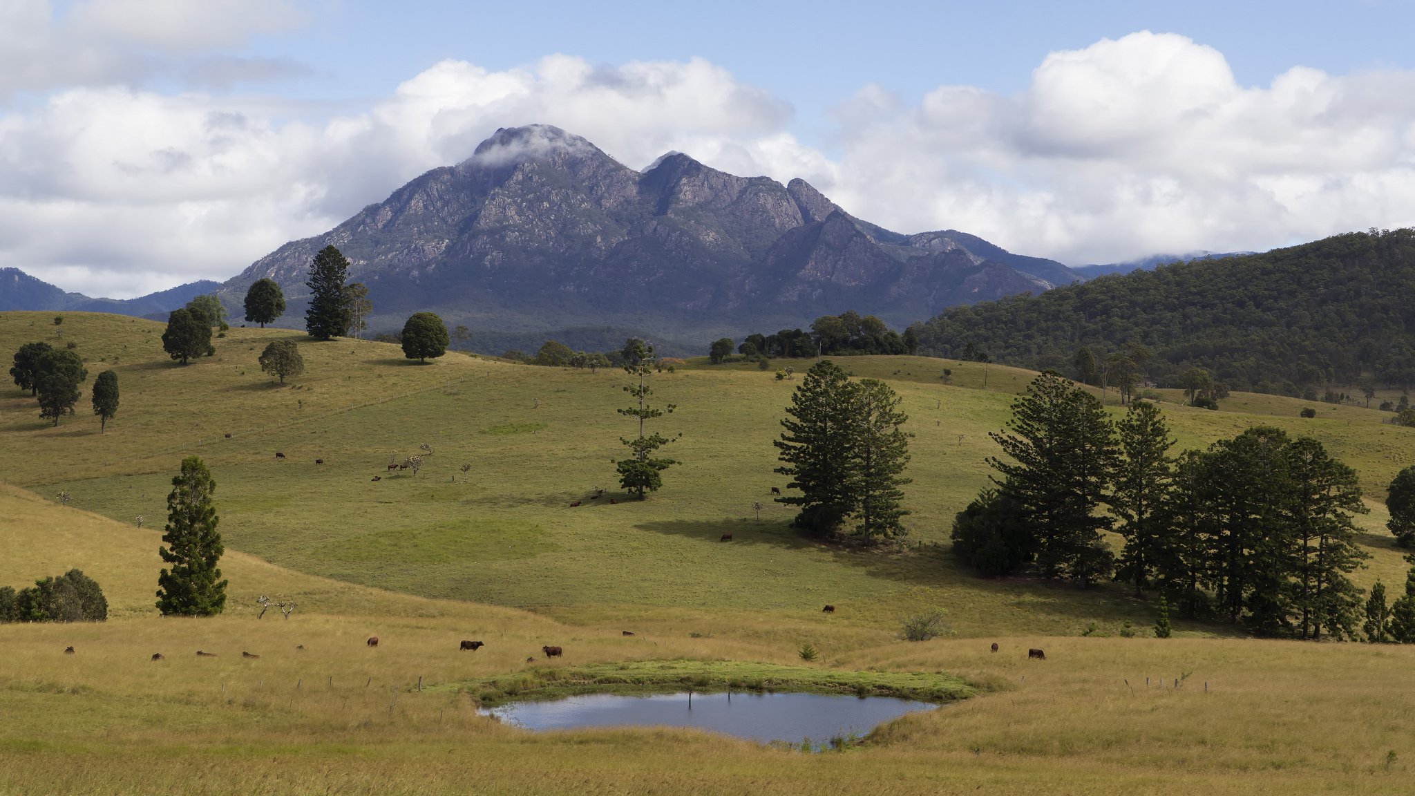 montañas árboles pastizales