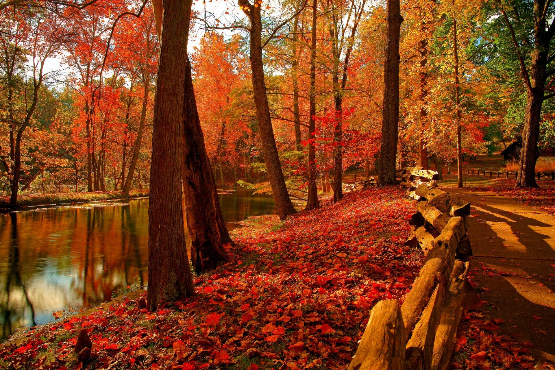 nature sky river water forest park trees leaves colorful autumn fall colors walk mountain