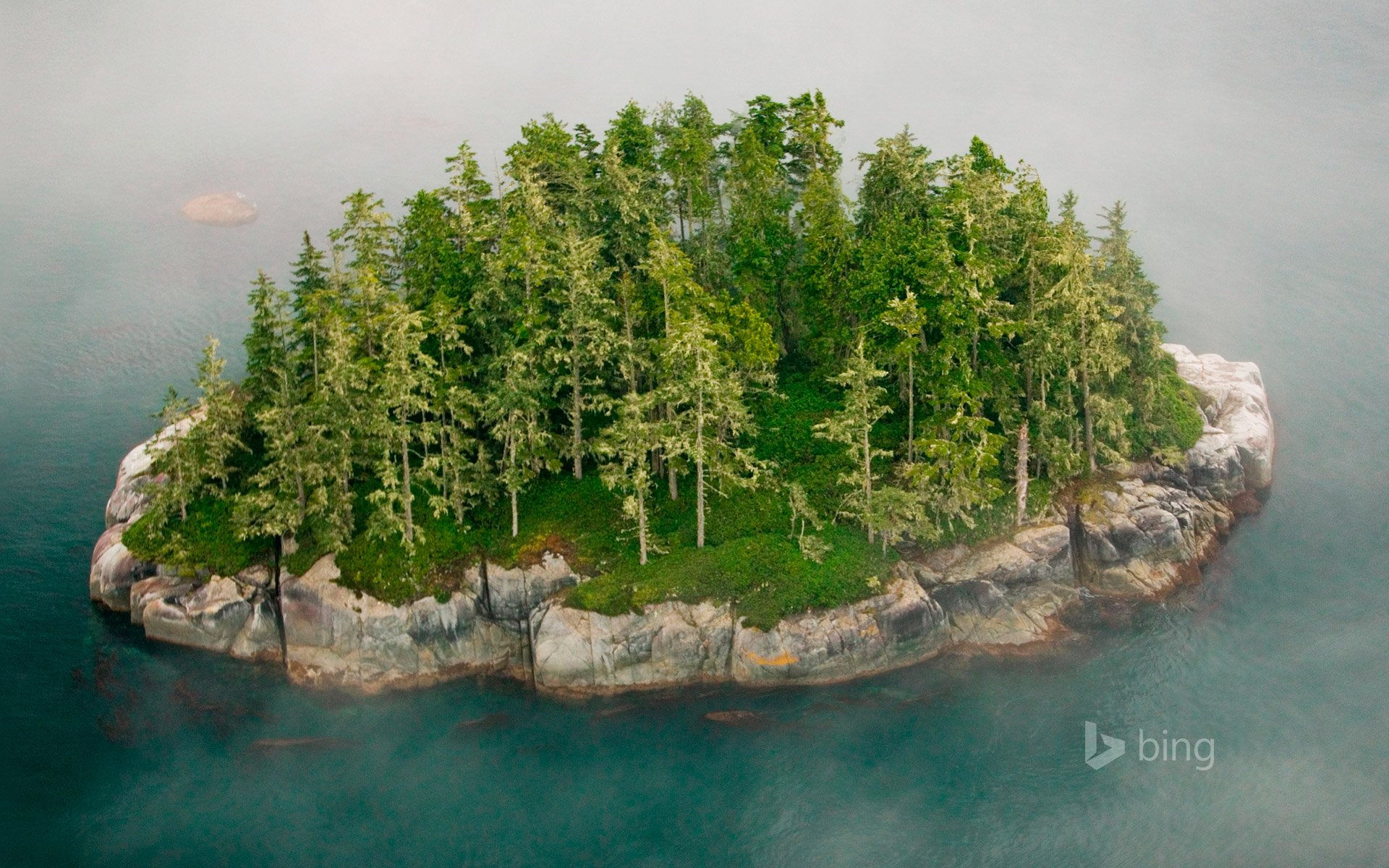 archipel de broughton colombie-britannique canada île rocher arbres brouillard