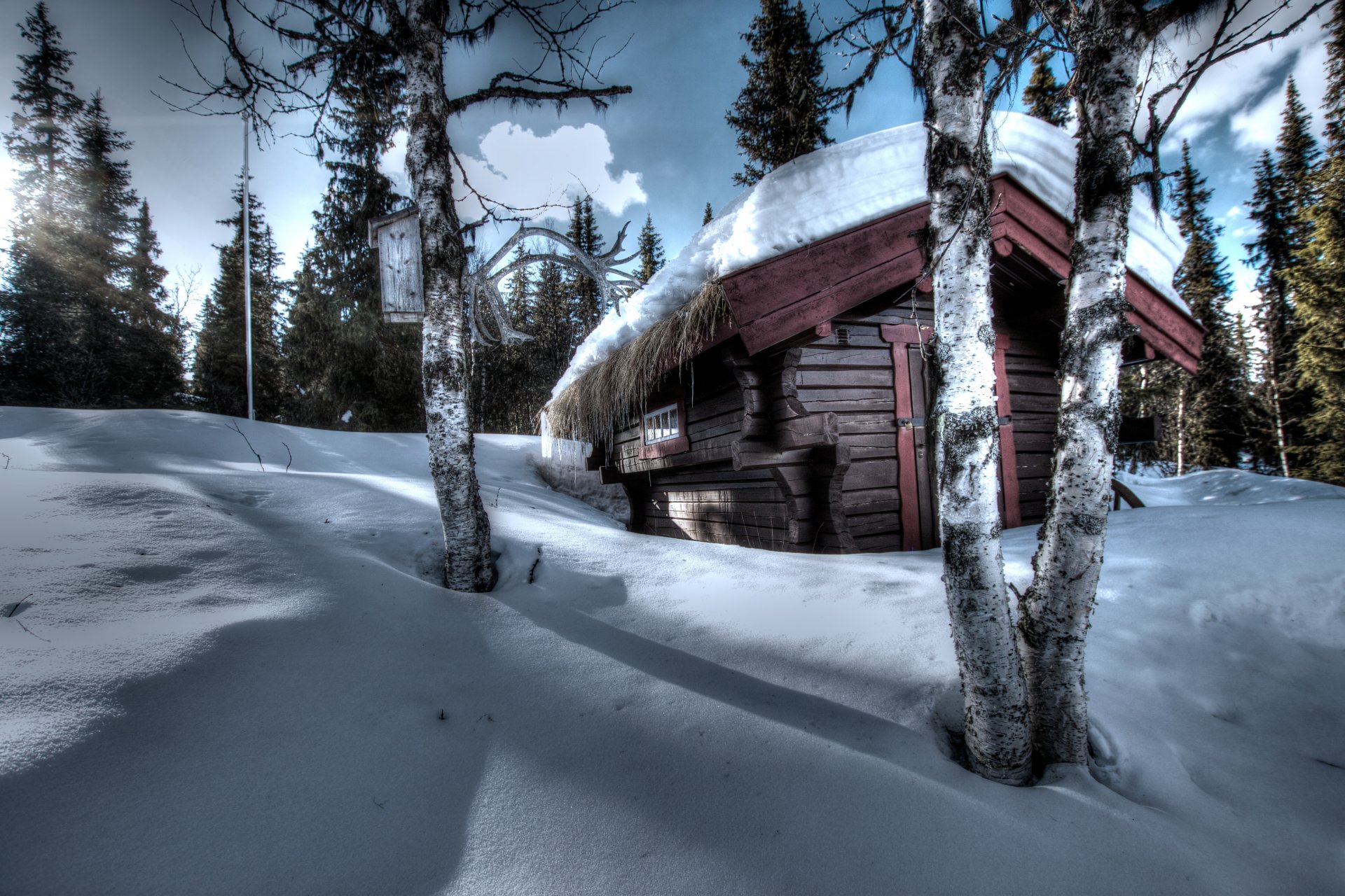 hiver neige maison arbres bois bouleau sapin forêt ciel nuages lumière coucher de soleil congère