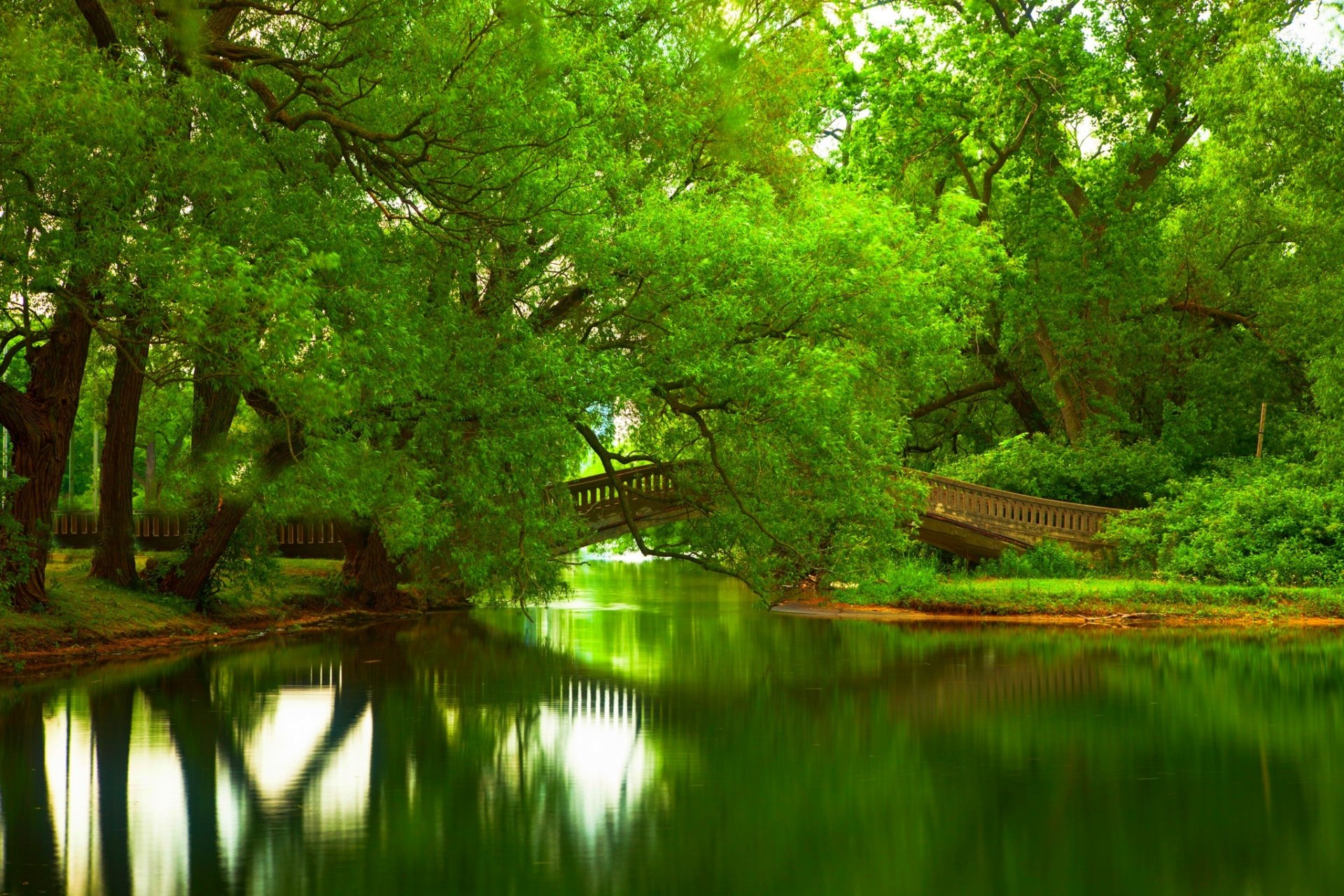 natur fluss wasser wald park bäume brücke blätter bunt frühling tropfen farben zu fuß berge